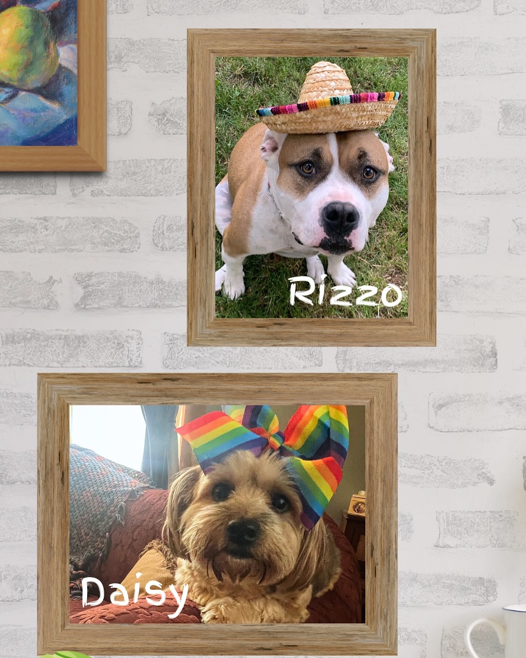 We love our Doobie pets πππ₯Ί