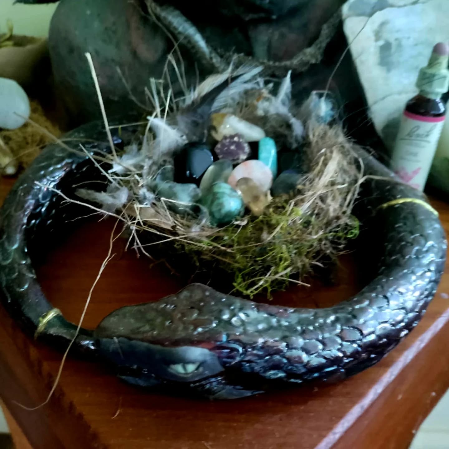 MEDICINE WOMAN 🔱 ~ She is back! Bringing with her the primordial womb; the void; our galactic center. The 13th octave ⛎️
Having faced that which She perceived to be wounded .... 🖤🩶🤍
She was once wounded.
Now She returns, healed & whole ⭕️
To the East.
North. West. South.
And to the Centre.
Casting the circle that holds us all together ❤️
#unityconsciousness #teamhumanity
#amazonianastrology #the13thwarrioress
#medicinewoman #higheroctave
📷 @elemental.reconnection