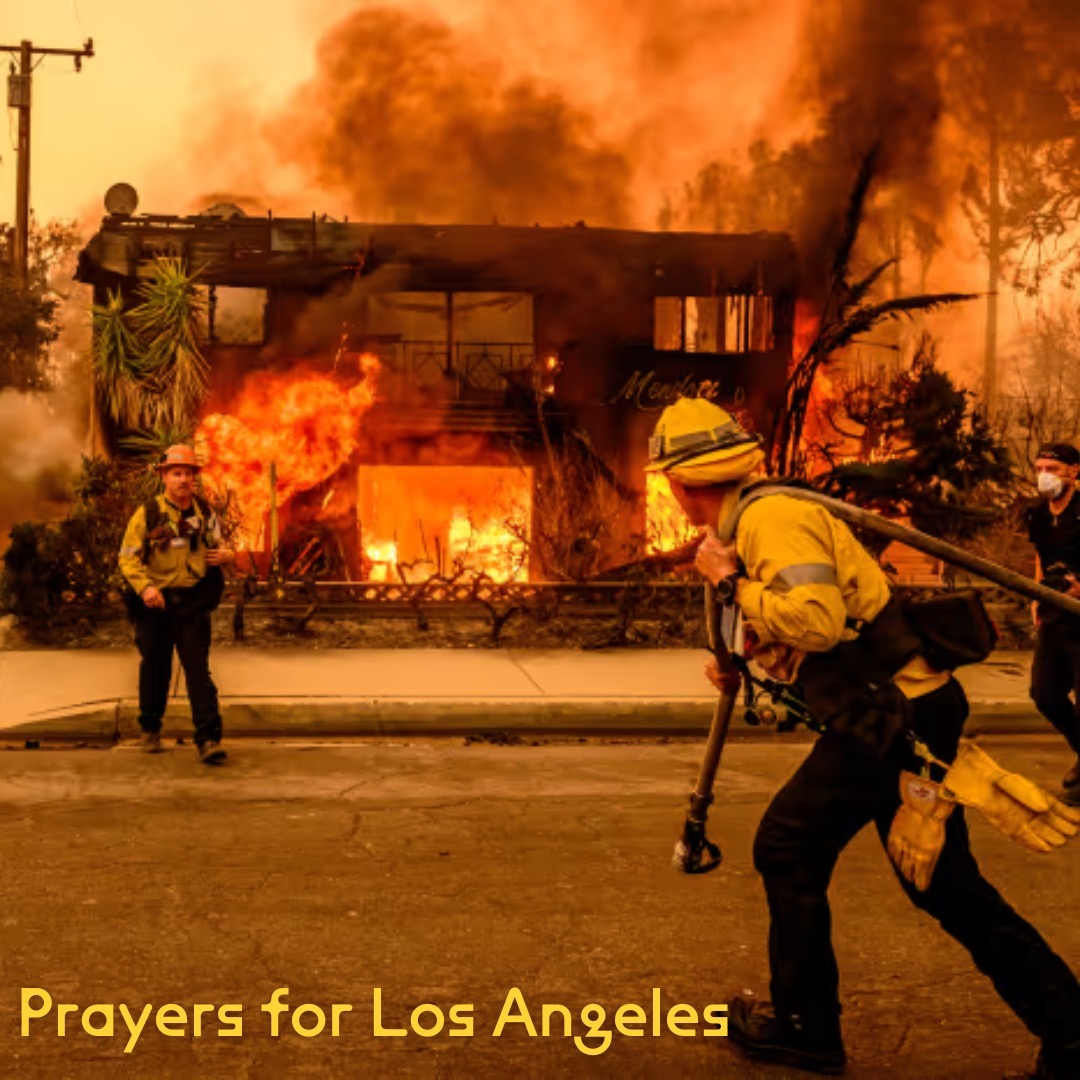 Our hearts are with the entire Los Angeles community as they face these devastating fires. We stand in solidarity with:
* Residents: Experiencing fear, uncertainty, cancelled insurance policies, and displacement.
* Firefighters: Bravely battling the flames and putting their lives on the line.
* Incarcerated firefighters: Risking their lives to protect our communities, despite their sentences.
Here are a few resources for those in the area and for those who want to lend their support from afar:
For residents:
* https://lacounty.gov/emergency/ For emergency information, evacuation orders, and safety tips.
* Visit https://www.redcross.org to find shelter, get assistance with essential needs, and donate to relief efforts.
* Call 1-800-854-7771 to access support for stress, anxiety, and trauma related to the fires.