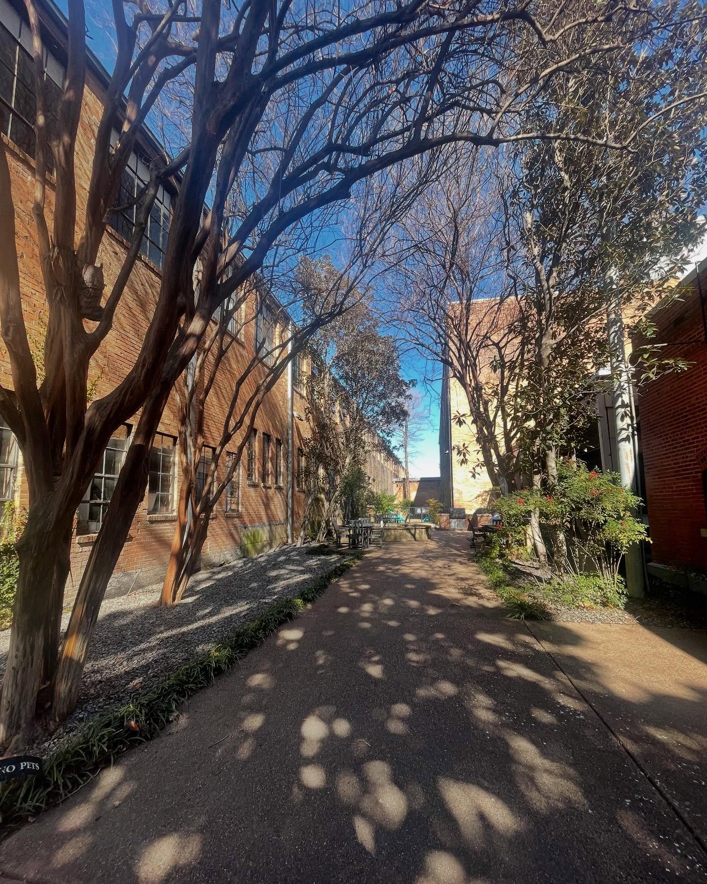 Afternoons at Expo Park courtyards are pure bliss! 🌿☀️ Surrounded by lush greenery, inviting seating, and grills ready for a cookout, it’s the perfect spot to unwind and soak up the beauty of nature.
#expopark #expoparkdistrict #dallastx #dallastexas #dallas #naturelovers #chillvibes #dallasapartments #dallaslofts