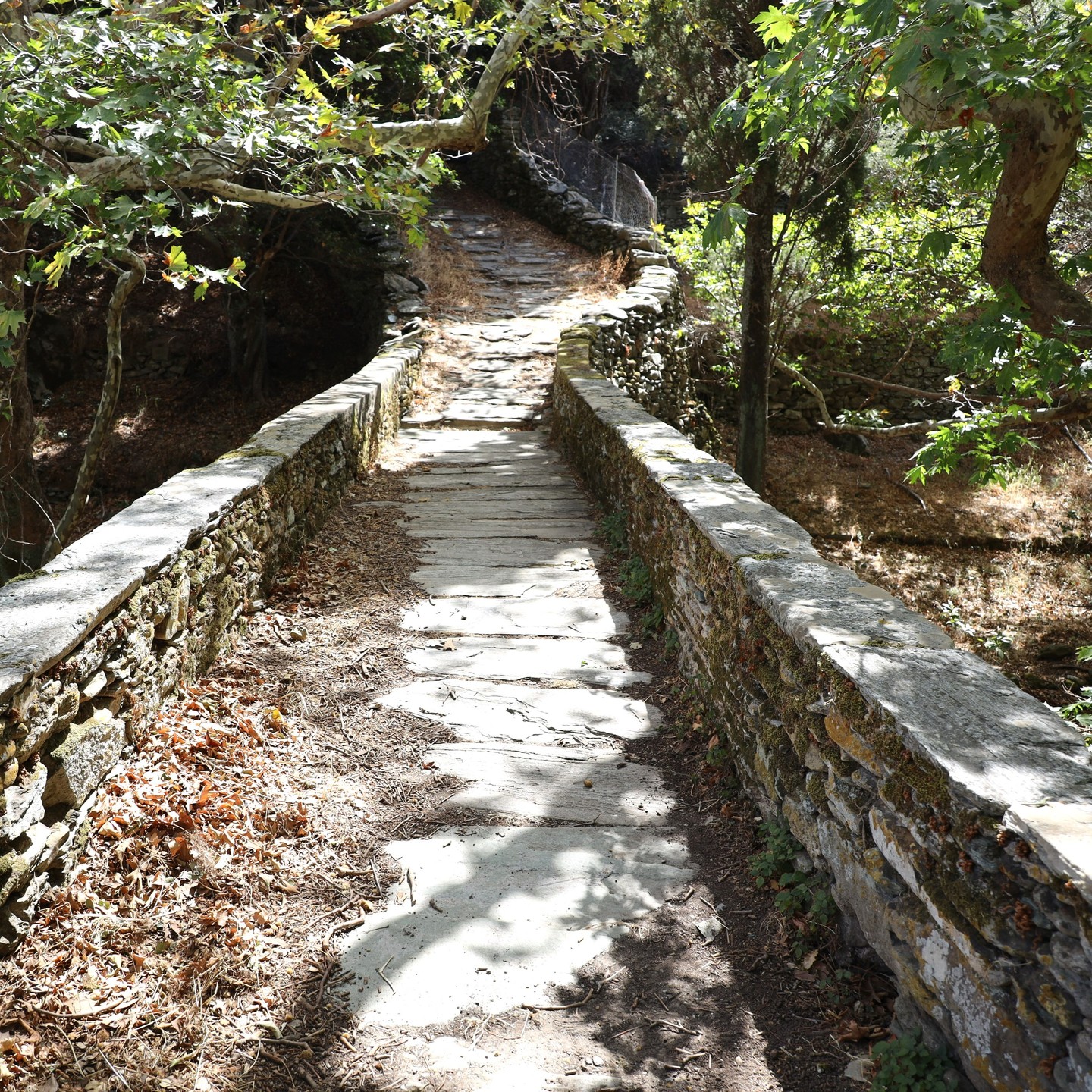 Part of the hiking trail from Andros city to Apoikia and Pithara waterfalls
#greekislands
#greek
#mygreece
#greece
#cyclades
#cyclades_islands