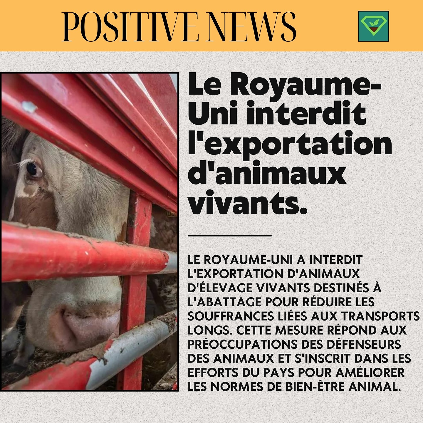 #savoir#histoire#insolite#lesaviezvous#greenisyou#info#culturegenerale#nouvellespositives#animaux#vache#cochon#poulet#maltraitanceanimale#royaumeuni#elevage#transport