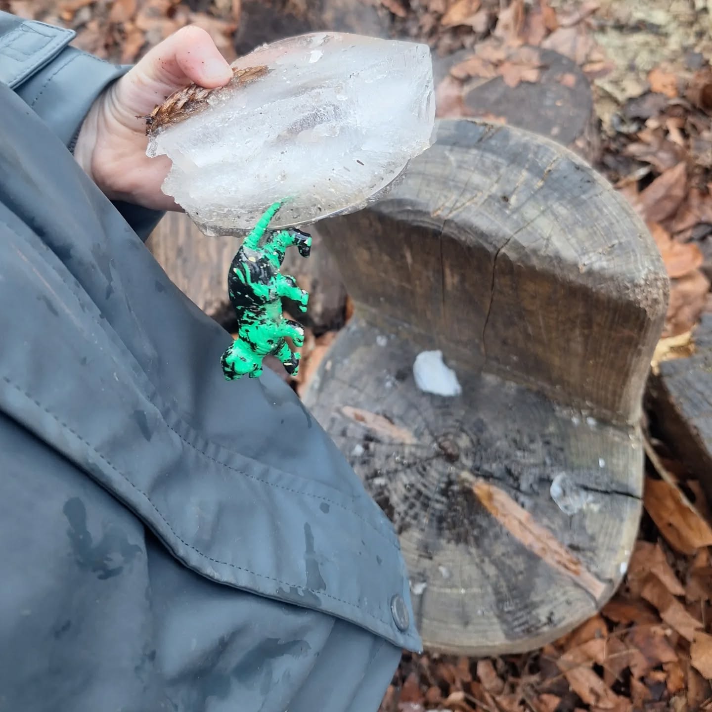 I froze some curiosities into some blocks of ice today. I hid them around the site and invited the children to find them and work out which things belonged in forest school and which didn't.
One child asked me where her piece of ice had gone.
They were interested in the negative space in ice, the ghost of the object.
And of course the main attraction was smashing the ice!
#forestschool #earlyyears #natureplay