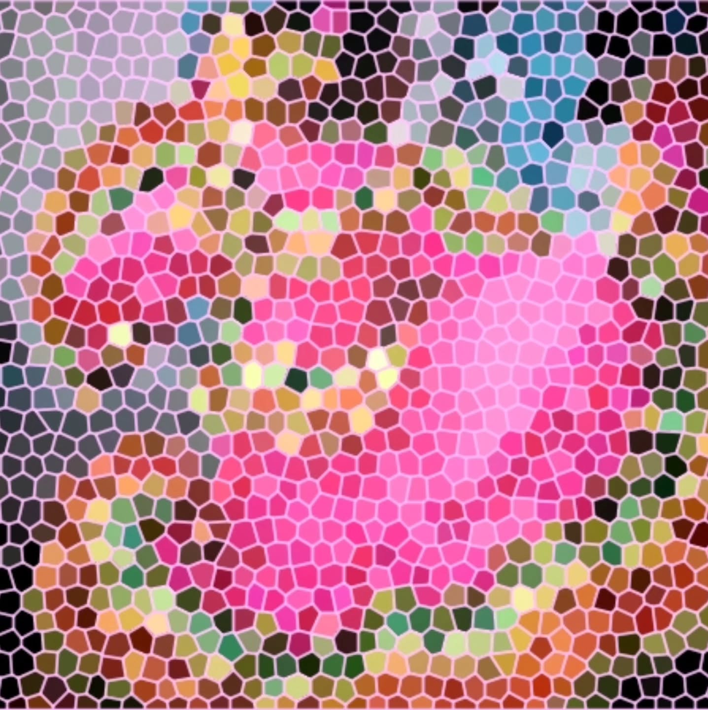 Mexico, a country renowned for its vibrant culture, ancient civilizations, and artistic heritage, boasts a captivating history of mosaic art that spans centuries. The utility box depicted here captures two women waving their folklorico dresses, displaced into hundreds of mosaic 'tiles'. The distortion distracts from the whole picture and can only really be appreciated from a distance.
The two images I chose for this project depict folklorico women of the Imperial Valley. In expanding and elegantly twisting her weighty dress, she expresses her multiple roles that speak to the strength and energy of our women.
@hosenladyceli
@dominguezchica_tucana311
#folklorico #mujerbonita #utilityboxart #ImperialValley #ArtMatters #colores #bordertown #elcentro #ImperialValleyArt #sisepuede #CulturalExpressions