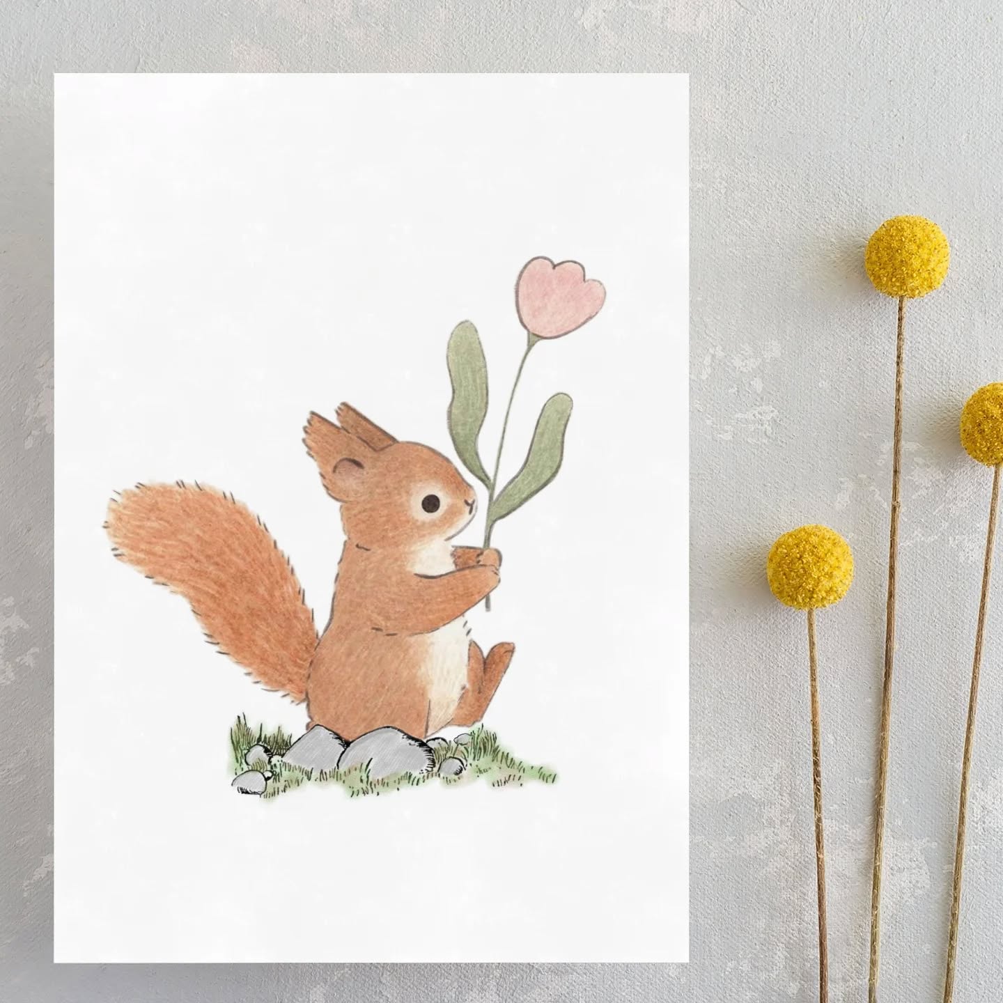 A Squirrel for your Saturday!
#tulip #squirrel #cartoon #cute #illustration #pencil #graphics