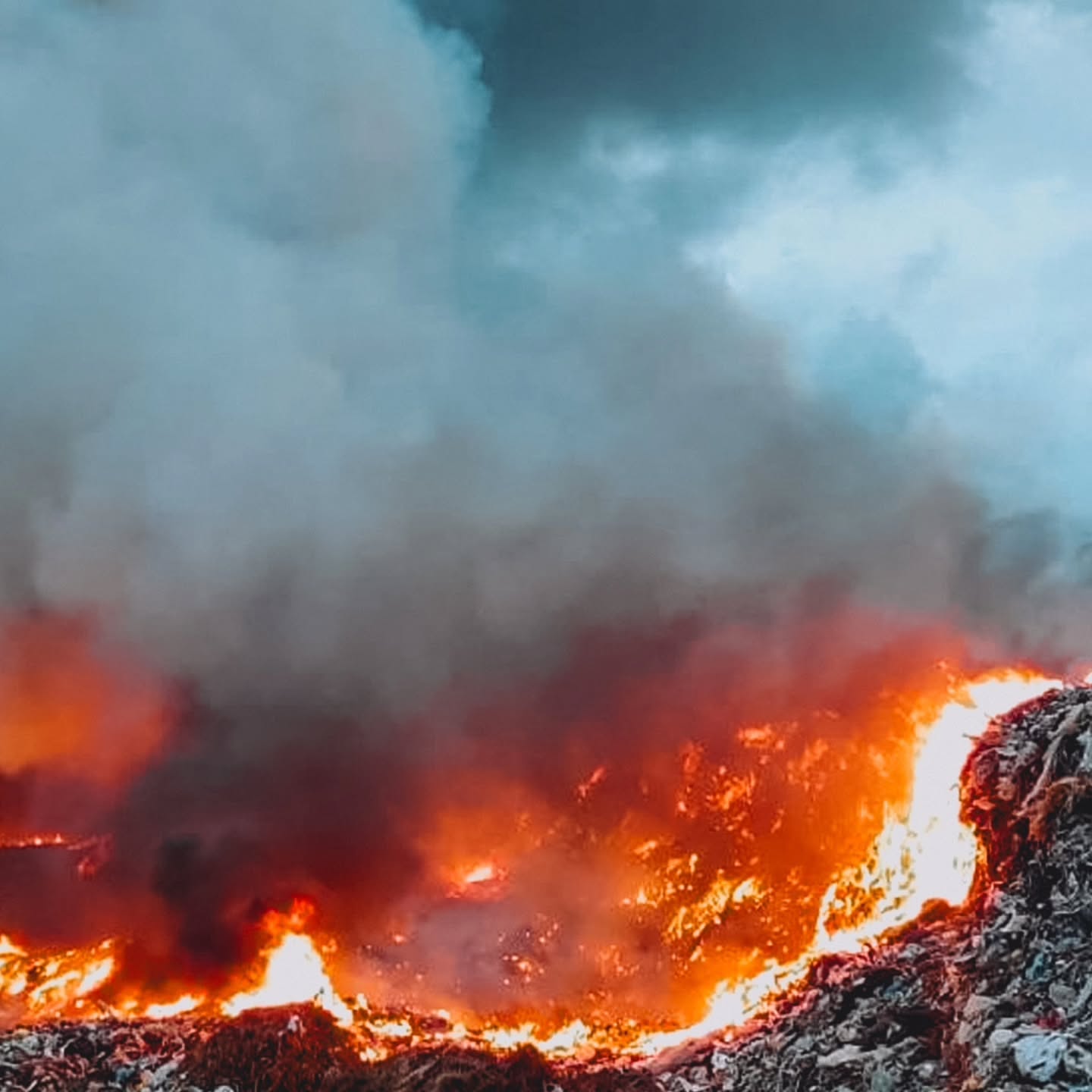 🔥 Fires Destroy Lives, Nature, and Wildlife: Let’s Stay Responsible 🔥
Fires, like the recent ones in Los Angeles, leave behind unimaginable devastation—destroying homes, displacing families, killing wildlife, and scarring our planet. Even here in Mauritius, we saw how the Mare Chicose fire affected our environment. Fires of any scale remind us how fragile and precious nature is.
Did You Know?
Littering is a major cause of wildfires:
🌞 Glass Bottles: Left in the sun, they can act as magnifying glasses, igniting dry vegetation.
🚬 Cigarette Butts: A single ember can start a massive blaze.
🗑️ Flammable Trash: Items like paper or wrappers can catch fire easily in hot or dry conditions.
🌱 How You Can Help Prevent Fires:
🚯 Never litter, especially in forests or dry areas.
🔥 Avoid lighting fires in wildfire-prone zones.
💧 Always extinguish campfires completely with water.
A moment of carelessness can destroy entire ecosystems and endanger countless lives. Let’s stay responsible and protect nature for ourselves, wildlife, and future generations.
#ProtectNature #FireSafety #StopLittering #WildlifeConservation #PreventWildfires