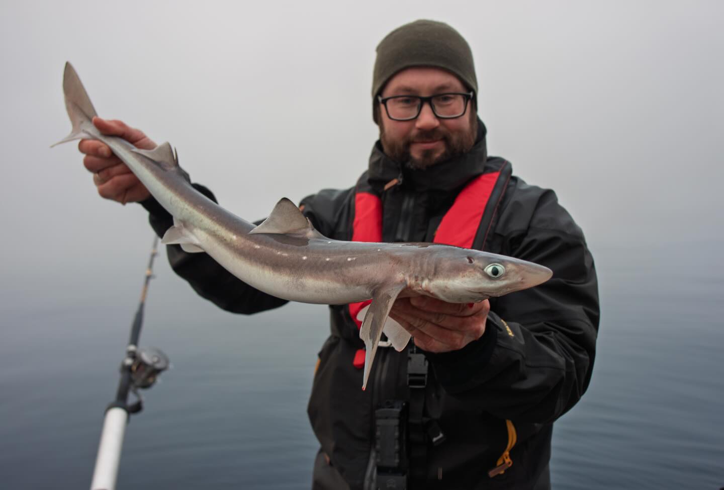 First trip out this season! The spiny dogfish are still active! 😀🎣
.
.
.
#comstedtfishing #sharkfishing #saltlife #saltwaterfishing #oslofjorden #havfiskern2025 #ursuit #seeberg #pigghå #havfiske