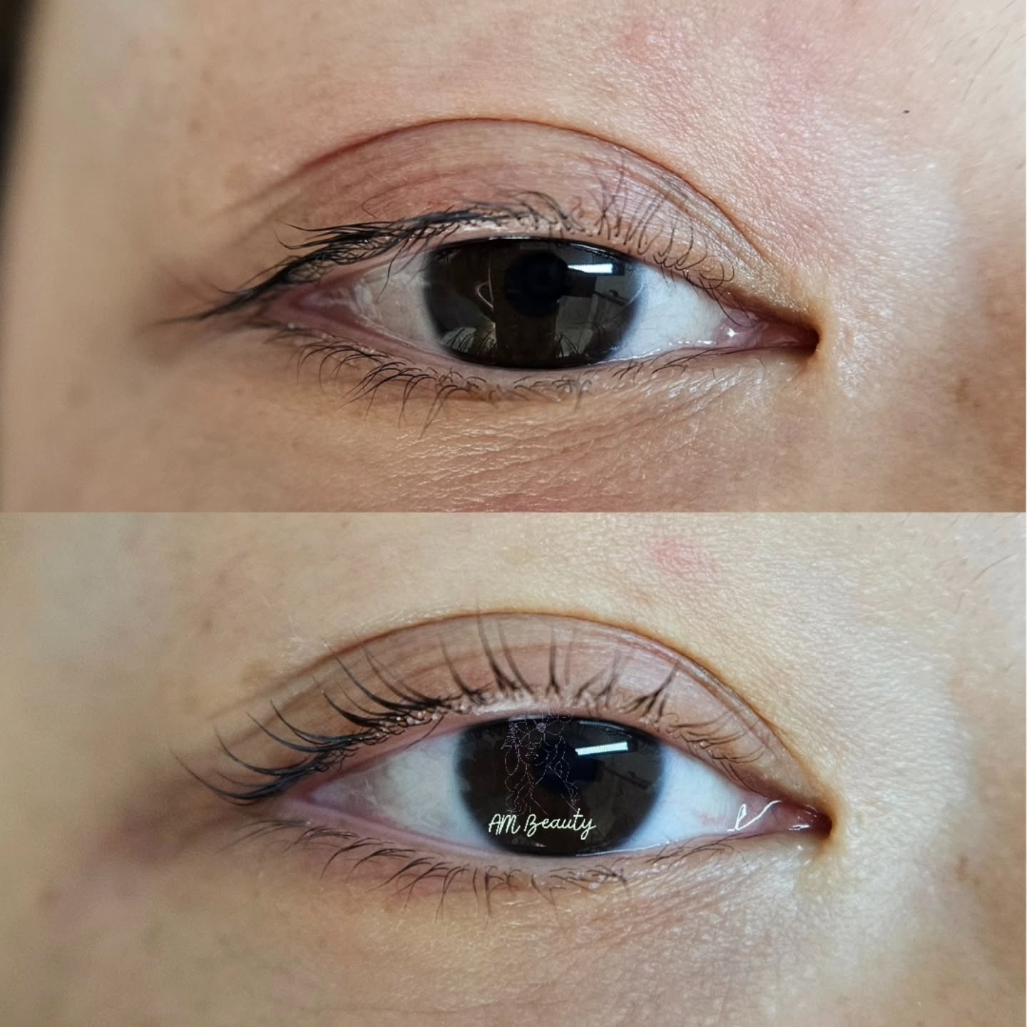 😲 what a transformation!!!
I'm so happy we could save her lashes! She cane right after a botched lash lift. We relaxed, reshaped and deep conditioned to restore her lashes 😍
Putting my advanced lash lift course to the test @lashmother.uli
Reverse shields by @oshare_lash
Elleeplex profuaion gentle cysteamine lash lift solutions, Elleeplex Regen repairing treatment & Advanced Aftercare mascara from @elleebana
Vinog hybrid shields ftw 🙌 @katya_vinog