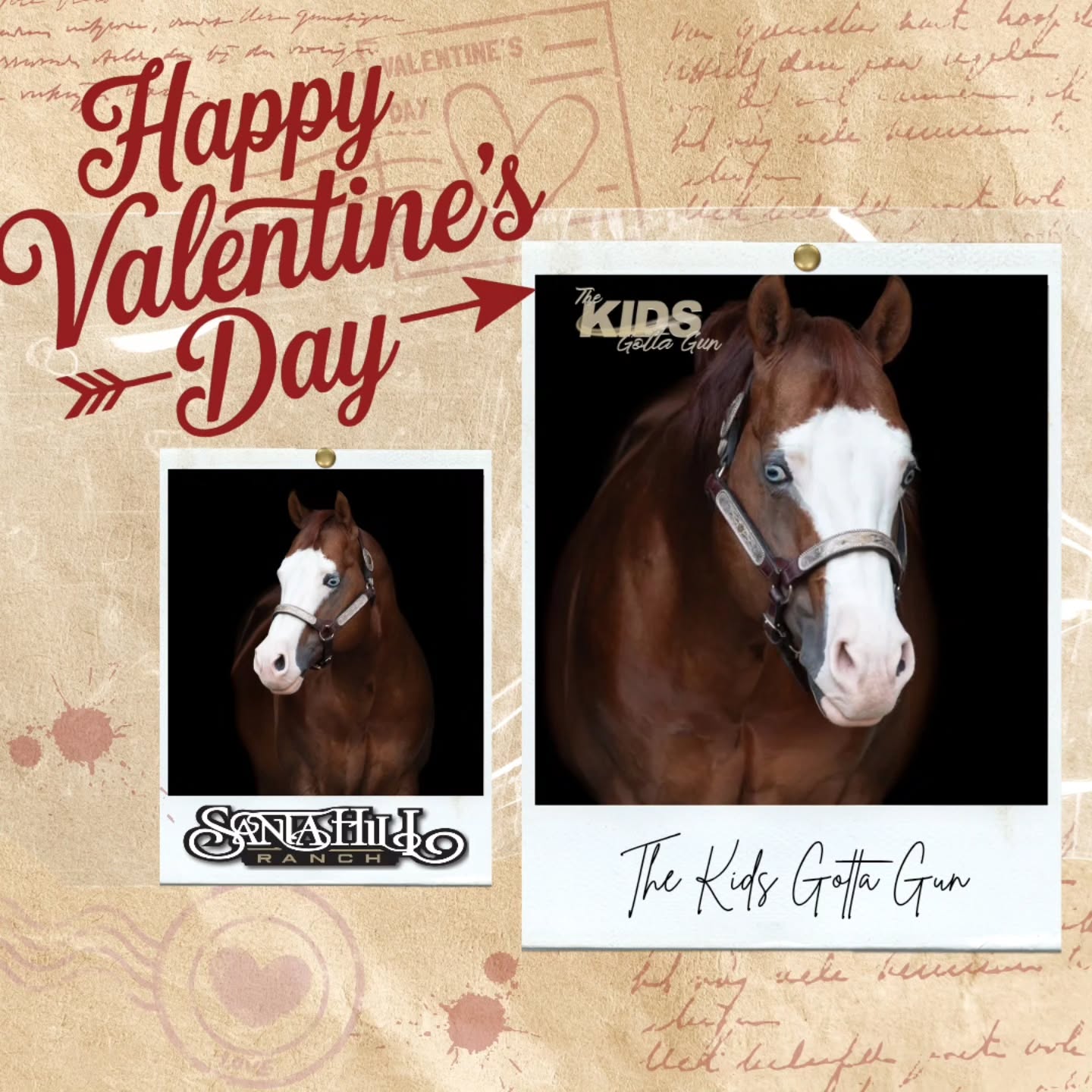 Happy Valentine's Day!!!! 🥰
#nrha #nrhareining #reining #reininglife #reiningstallion #stallionhorse #stallion #slideofyourlife
