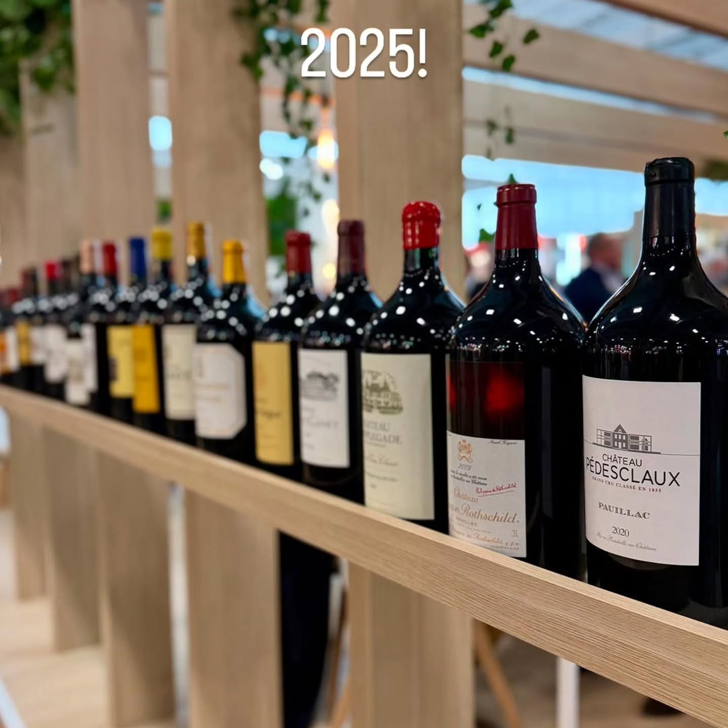 The All Star Wine Imports team was hard a work at Wine Paris 2025. We found some great wines. Posting soon