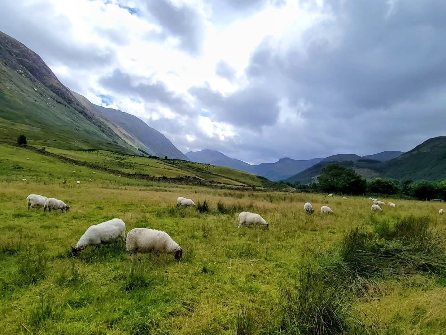 Thinking of visiting Scotland? Expect jaw-dropping landscapes, historic castles, and weather that keeps you on your toes. Read our latest blog post for tips, must-sees, and why you should always pack a rain coat. ☔🏰
.
.
.
.
.
#travel #twogirlsgetaway #travelblogger #scotland #scotlandtravel #Edinburgh #iamtb #wearetravelgirls #wonderful_places #sheisnotlost #traveladvisor #gltlove #girlswhotravel #glt