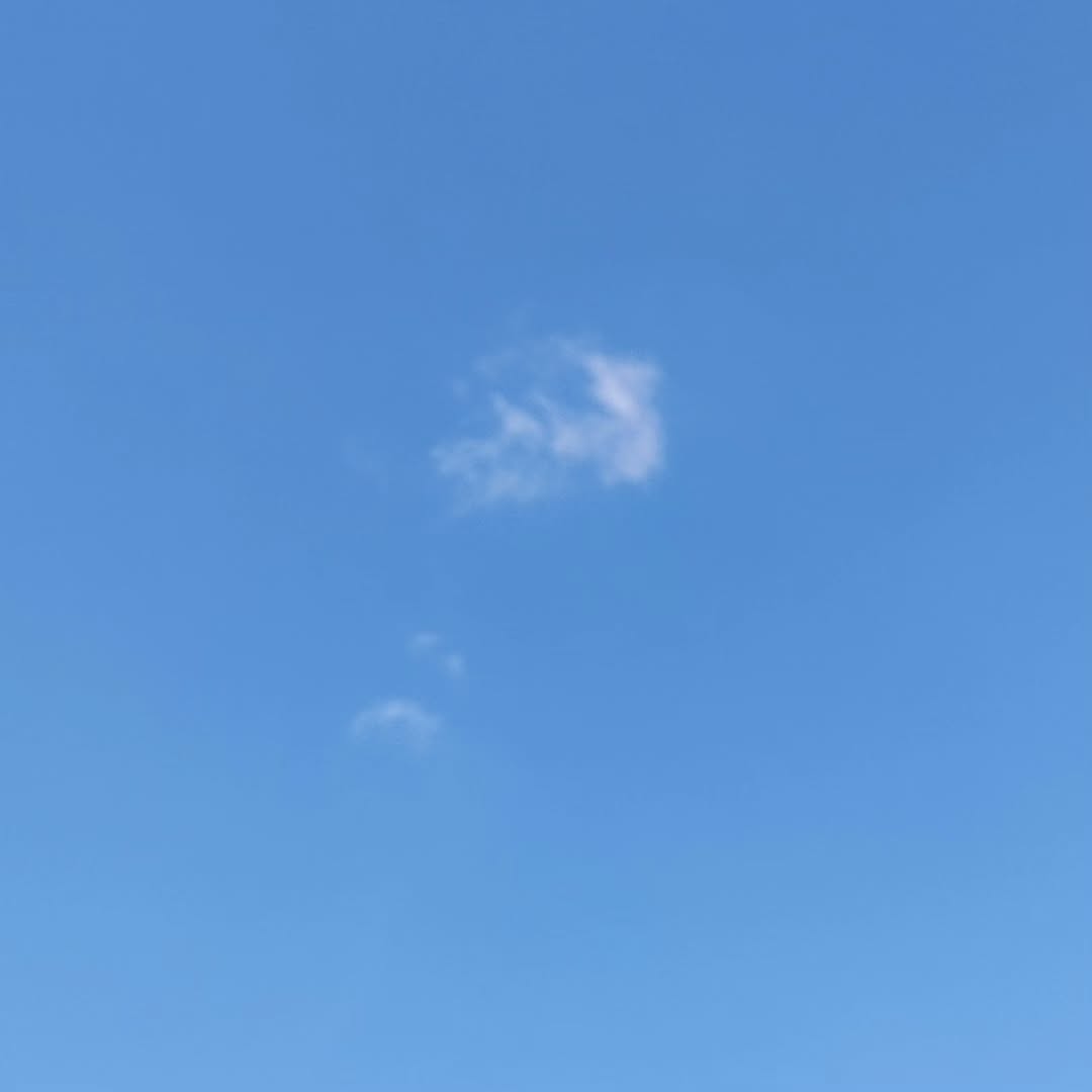 This is your instruction to put down your phone and get outside- immediately! Even if it is just for 5 minutes.. grab some mood boosting vitamin D. Ditch the sunnies too to help recalibrate and reset your circadian rhythms for improved mood and better sleep...
Have a great rest of your day!