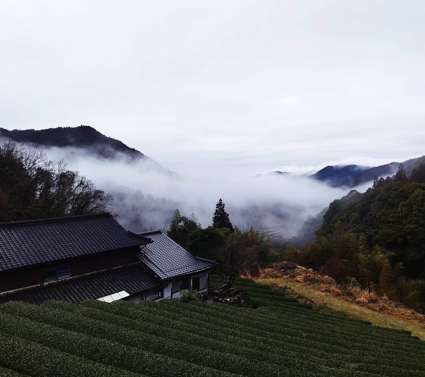 まるで雲海の中にいるような幻想的な風景が広がっています。
A breathtaking view from Sky Tea House! The mist embraces the mountains, creating a dreamlike sea of clouds. Come and enjoy the fresh air and the beauty of Yame’s tea fields. Experience this magical scenery for yourself!
#天空の茶屋敷 #八女茶 #日本の原風景 #雲海 #秘境 #茶畑 #絶景 #伝統と自