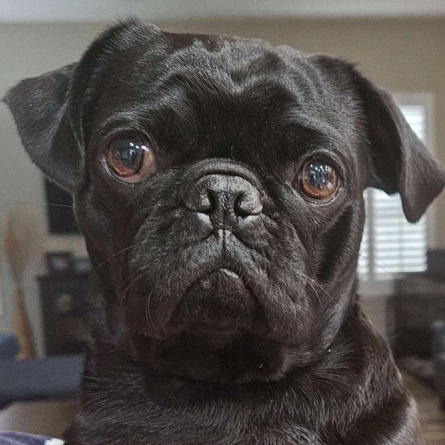 It's Ruff being this cute!