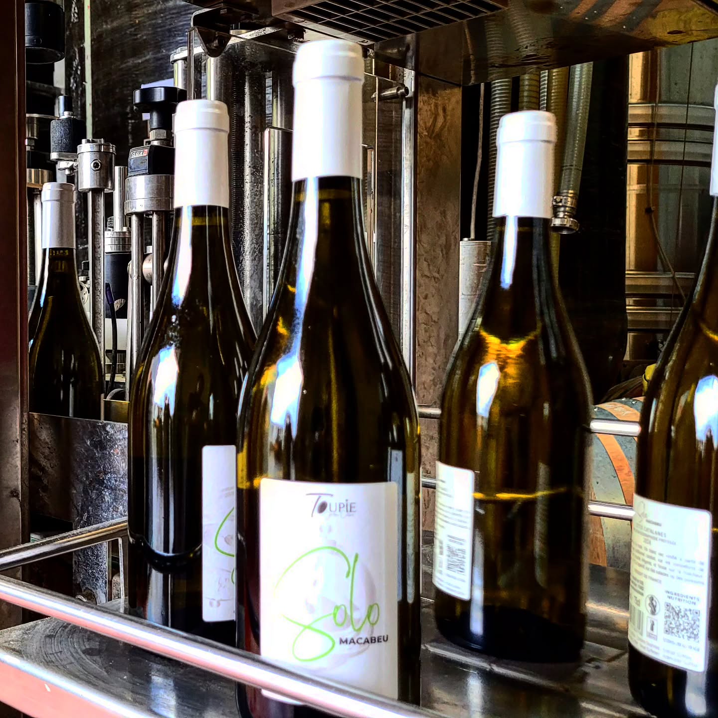 Matinée mise en bouteille blanc & rosé 2024
#domainelatoupie #roussillonwines #maury #macabeu