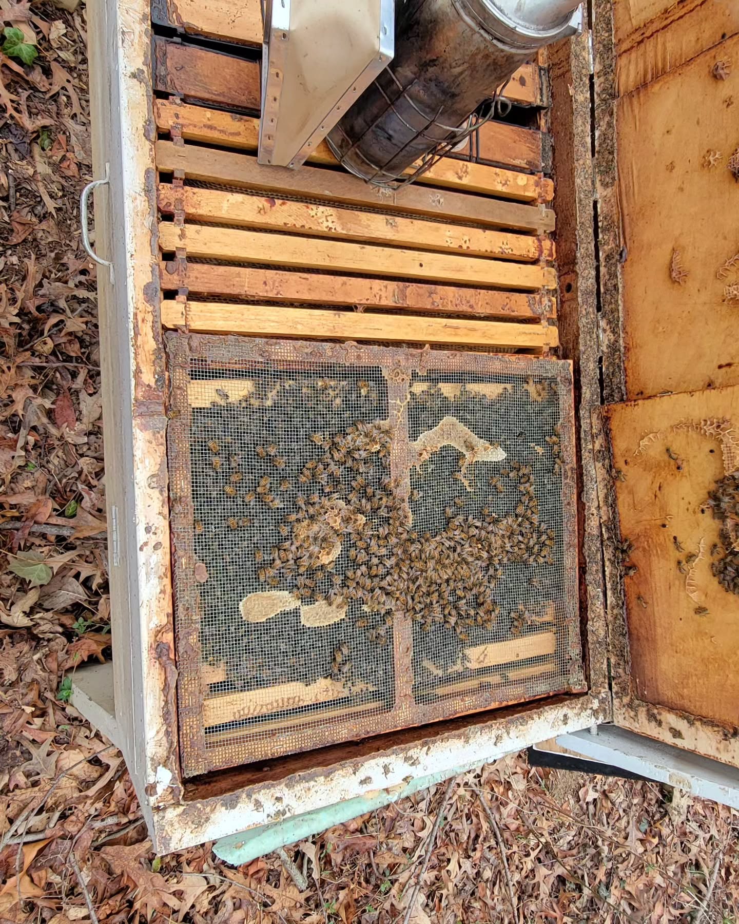 This year I'm moving the bees from the long langstroth hives into verticle boxes for honey production. 🍯
#beekeeping #honeybees