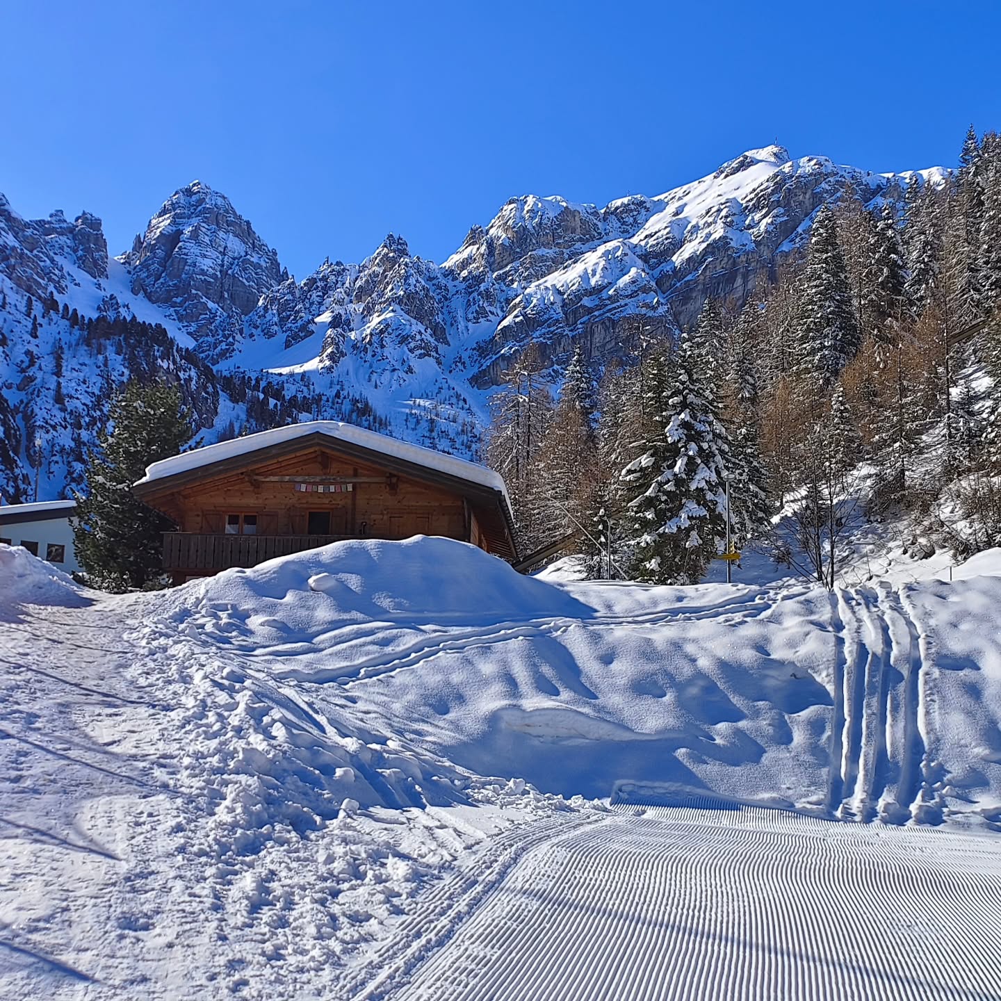 The slopes are calling!!!
Bluebird skies and perfect snow conditions 😍
.
#ILove💙Skiing
#AxamerLizum #skipluscity #skipluscitypass #Skifahren #winterseason #myinnsbruck #Tirol
