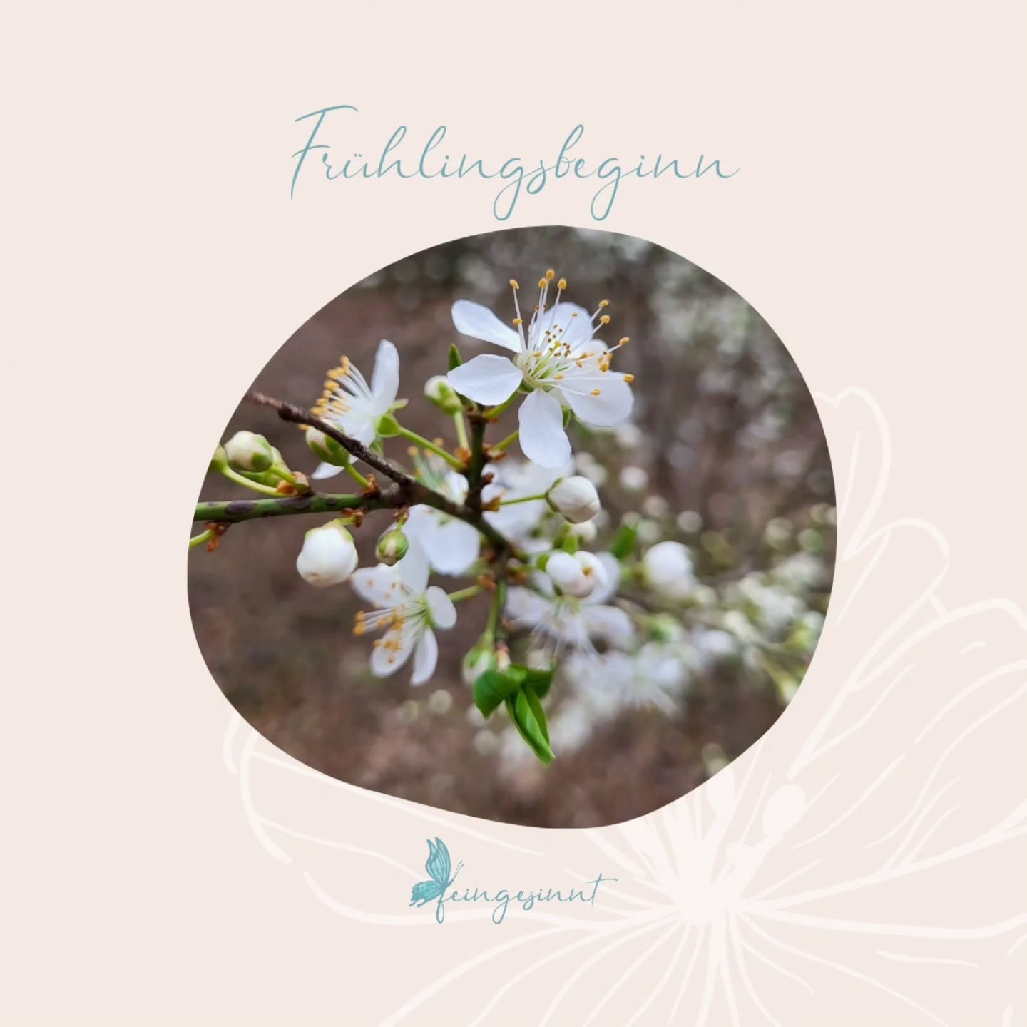 Der Frühling kann dazu verleiten, mit der zurückkehrenden Energie Vollgas zu geben, neue Projekte anzureissen und sich zu viel aufzuladen. Lass dir lieber Zeit uns überstürze nichts.
Falls du eine Begleitung brauchst, melde dich oder schau in meiner Bio nach, da findest du alle Infos zu meinen Angeboten.
Herzlich, Jacky 🦋
#hochsensibilität #hochsensibel #hochsensible #sensibel #hspcoach #hochsensitiv #hspcoaching #hochsensibelglücklich #feingesinnt #coaching #beratung #seelenweg #leichtigkeit #innereruhe #lebensfreude #energie # #balanceerfolg #selbstbestimmung #selbstliebestärken #selbstreflexion #mentalegesundheit #psychologischeberatung #resilienz #ressourcen #achtsamkeitimalltag #selbstwahrnehmung #selbstfindung #überreizung #nervensystem
COACHING
BERATUNG
HOCHSENSIBILITÄT
EMOTIONSREGULATION
STRESSREGULATION
ABGRENZUNG
POTENTIAL
SELBSTVERTRAUEN
MINDSET