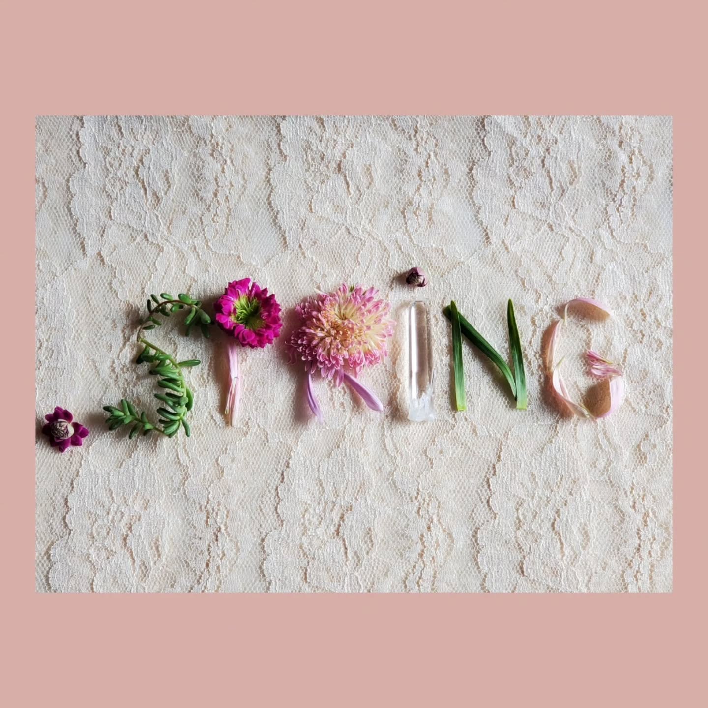 Spring Blessings!
It's a potent time of pure potential when the natural world awakens from its winter rest. As new lifeย springsย forth all around us, this sacred time invites us to embrace our own awakening and renewal.
It's an important time to create space for yourself to allow your body to attune to the season and shift into this yang time of the year.
Some of my favorite ways to attune to the Spring season are to:
๐ STEP OUTSIDE
Place your feet directly on the Earth. Walk barefoot to attune to the Earth's energies and notice what new growth is emerging. Find a place you can return to often to soak up the natural world and just be.
โจ๏ธ REFLECT
Create space to reflect and write a detailed list of your new desires, prayers, and intentions for the coming season and create an action plan with tangible steps to implement it.
๐ NOURISH
Turn inward to explore how your body wants to be nourished. Are you needing to support your body with a cleanse? What vibrant whole foods is your body craving? What needs to shift to bring you back into balance?
โจ๏ธ CREATE
Desinate a place to anchor your intentions and prayers. It can be a side table, bookcase or special place. Add things that light up your heart and soul, remind you of your intentions & prayers and reflect the spring energy.
If you are feeling called to deepen your connection to Mother Earth and the Air Element this Spring, download my 21 pg Seasonal Guidebook that's full of deepening practices. The link for the download is in my bio.
Peace and blessings!
Mama Fish