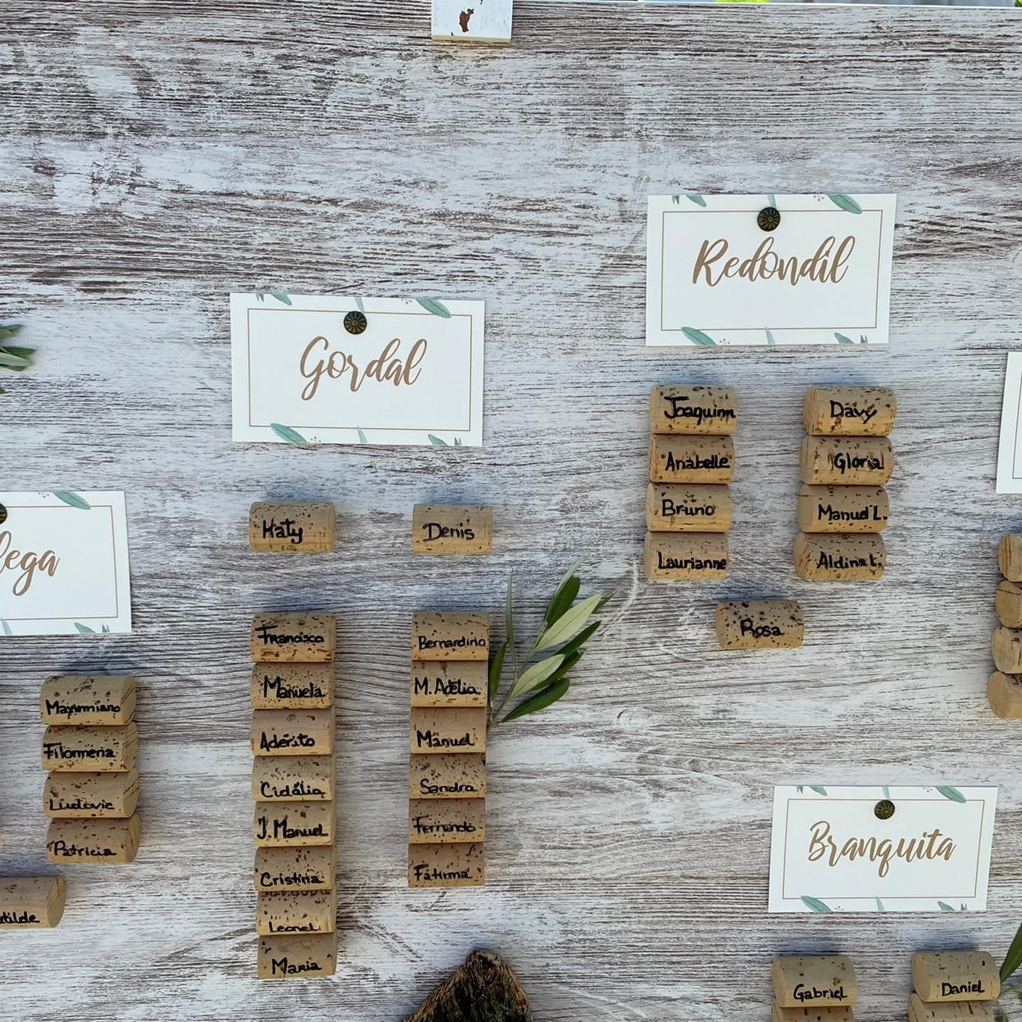 Casamento Tema "oliveira"