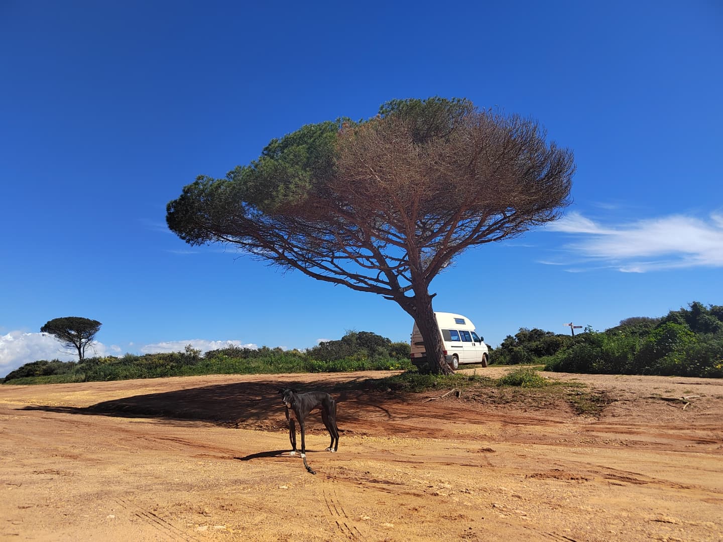 que contenta de estar en el camino de nuevo 👌 una vez más encontramos el sol 🌞