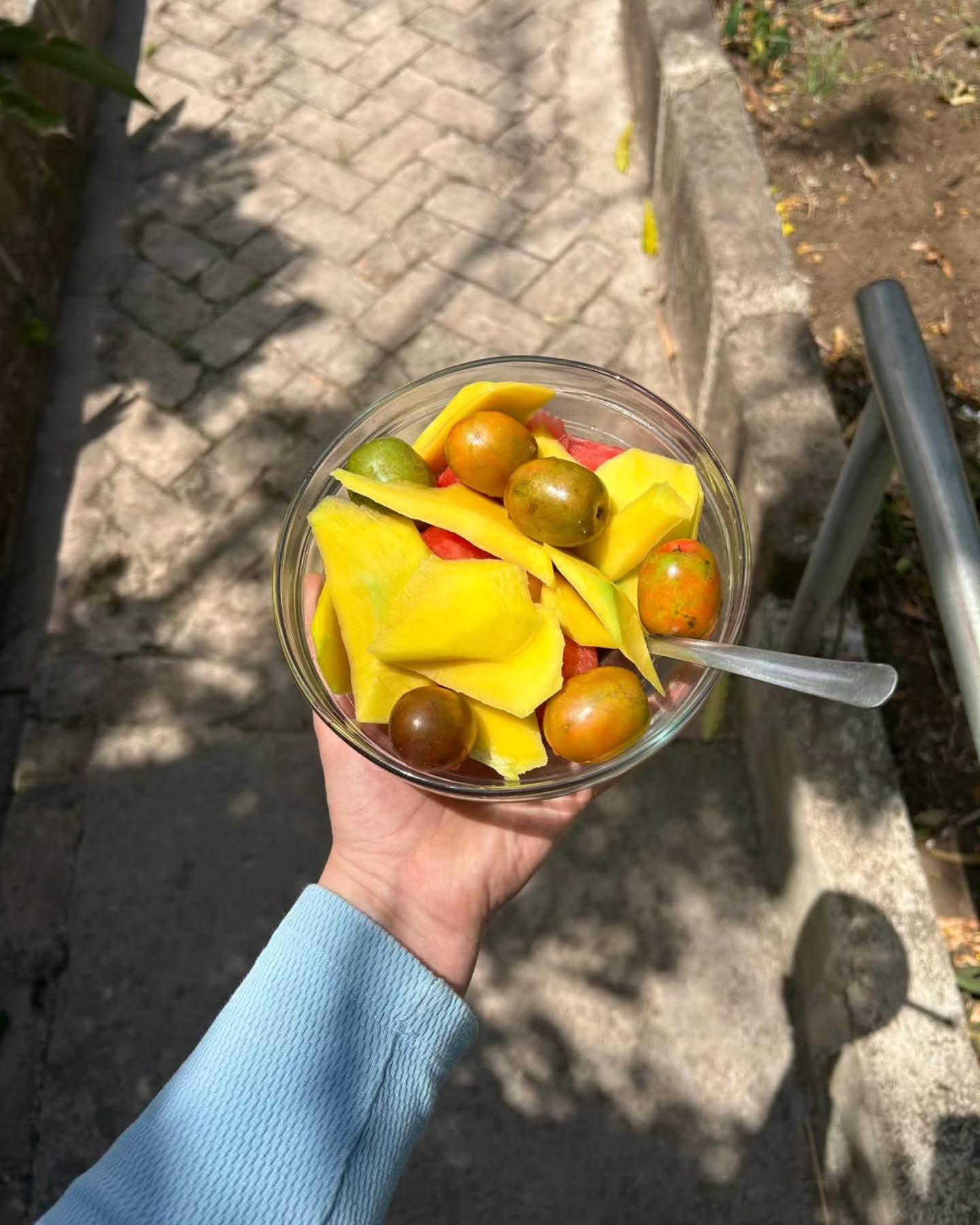 Day 3 afternoon - night
After cupping and touring Prodecoop we sped back over to Pueblo Nuevo for a mid-morning snack of fresh fruit, a little rest, and Brenda's excellent lunch. The lemon chicken from the outdoor kitchen was as delicious as any restaurant. After lunch there were a couple of samples we wanted to taste again. We fired up the Roaster, and cupped another round. Favorites were still the same as picked this morning at Prodecoop.
After coffee, we drove over to the Beneficio to check out the drying patios, and get more parchment samples direct from the bags. Coffee needs to rest in parchment to stabilize water activity. This is the coffee that will go to the Dry Mill for processing and bagging to be prepared for shipment to us. All the bags are tagged with farm, and plot.
The harvest is finished up so the patios and raised beds are close to empty.
We rounded out a day of coffee tasting by going over to the Tree Bar. Norman's eldest daughter recently got married to the owner of the coolest bistro in Pueblo Nuevo. We gifted him a bottle of Cates, I mean Gates Barbecue sauce for the restaurant. Gates Sauce is famous in Managua! It's on the menu at a barbecue joint in Managua. Wild.
The steak with chimichurri was delicious. We washed it down with a taste test between Toña & Victoria. Ellen was introduced to Flor de Caña 8 year and 12 year aged. I had a shot of the new Espresso Rum. A perfect finish to the day!