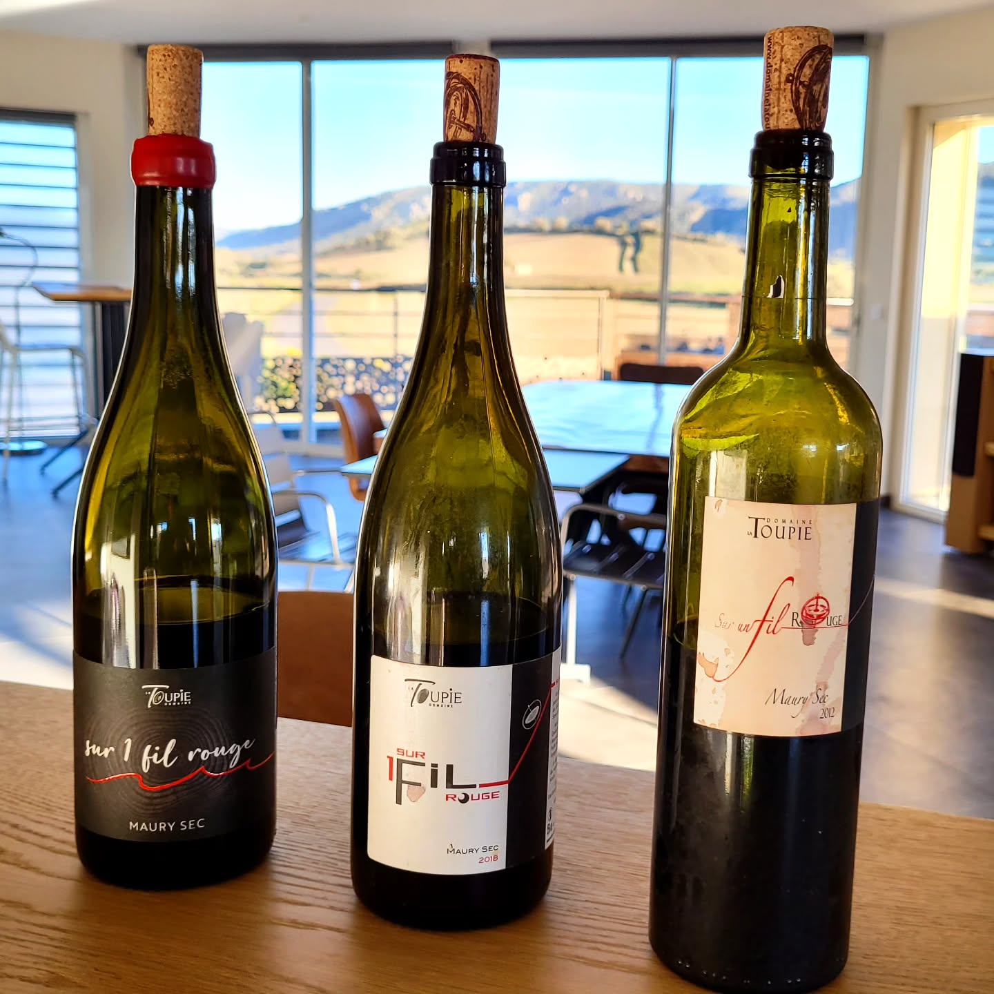 Ðégustation ce jour en présence d'une délégation anglaise de la cuvée Sur 1 fil rouge en Maury sec sur les millésimes 2012, 2018 & 2022! 2012, premier millésime du domaine, de l'évolution mais encore une belle tenue en bouche🤩, 2018 un superbe millésime qui se confirme 7 ans après, 2022 de la gourmandise qui gagnera en élégance dans 2 à 3 ans!