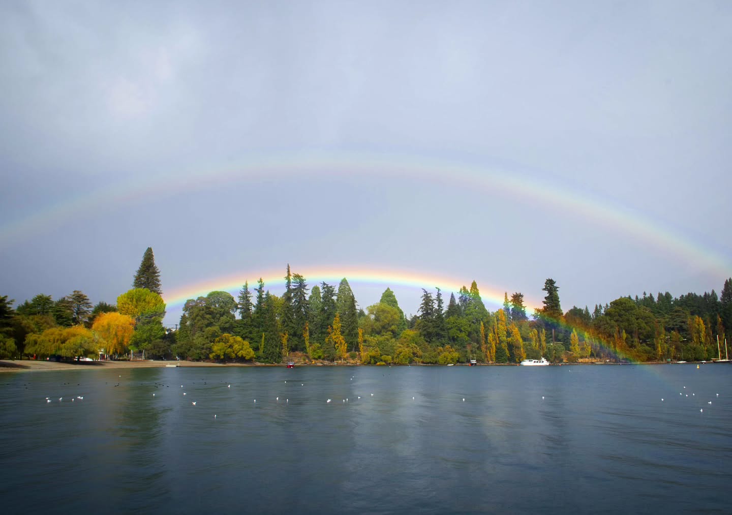 🌈 Rain or shine, we always we always have the best view in town! 🌧️
What’s better on a rainy day than bringing your favourite food, sipping on a mulled wine, and enjoying the magic of Lake Wakatipu with us? 🍷✨