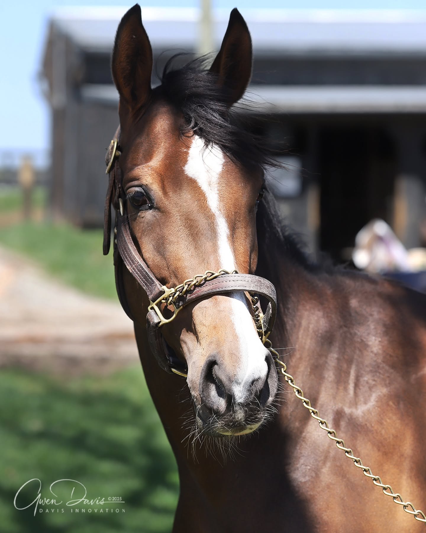 Spring beauty and the beauties of @secondstride.