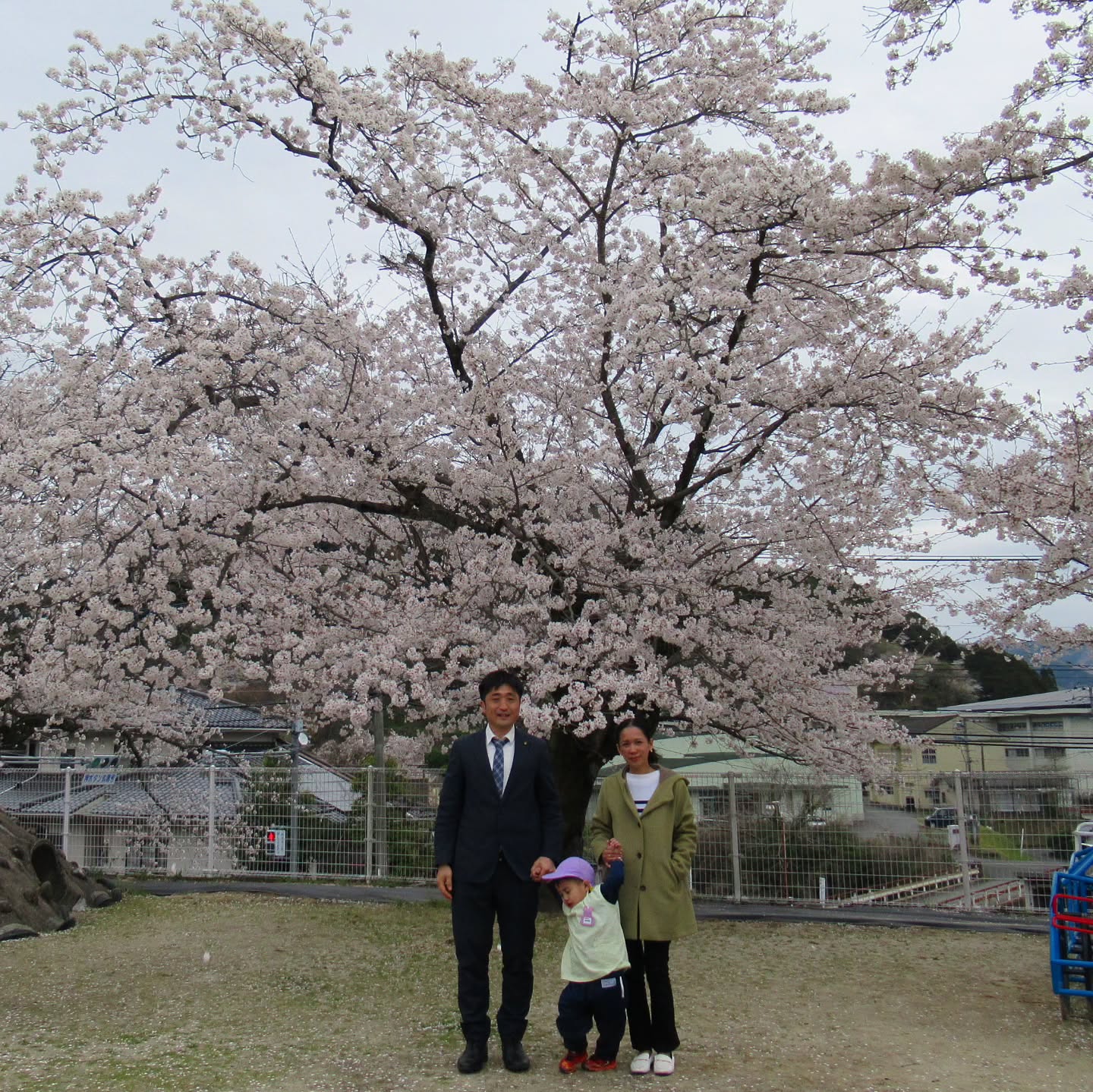 桜満開の中、息子の入園式を迎えました。
そして、2015年4月に八女へ移住してから、ちょうど10年の月日が経ちました。
当時、知り合いが一人もいない土地に移住するという決断は、今ほど田舎移住が一般的でなかった時代には珍しく、家族からも反対、半ばバカにされました。無職・無収入で、むしろ資本主義に反発するような思想を持ち、「働きたくない」とさえ思っていた自分。目立とうとも思わず、結婚も諦め、社会に貢献したいとか、認められたいとも思わず、ただ遠くから自分に会いに来てくれる人たちと、自由気ままに生きていければそれでいい——そんなロックな考え方をしていた頃が懐かしいです。
しかし、気がつけば10年。ずいぶんと丸くなりました。
振り返れば、本当に人の縁と運に恵まれていたと思います。
いろいろな出来事がありました。偶然にも家を譲り受け、山奥の奥に住むようになったこと。事業を始めたら、思いがけずメディアに取り上げられるようになったこと。婚活に成功し、八女のプロモーションとして結婚式を挙げさせてもらったこと。勢いで本を出版したこと。そして、八女の旗を掲げて北海道から八女まで歩き、日本縦断を果たしたこと。さらには、市議会議員選挙に出馬するという無謀とも言われる挑戦までしてしまいました。
さらに、世界一尊敬するムヒカ大統領に、自分が手掛けたお茶を献上するためにウルグアイに行ったりそんな機会にも恵まれ。また、コロナ禍で新婚早々離れ離れになった国際カップルとして、1年後に再会を果たし、それがメディアに取り上げられるという出来事もありました。
きっと10年前の自分が今の自分を見たら、大笑いしていることでしょう。
これからも、置かれた環境の中で、自分にとっても、家族にとっても、そして社会にとっても意義のあることを見つけ、挑戦し続けていきたいと思います。そして、10年後もまた笑って振り返ることができるような生き方をしていきたいです。