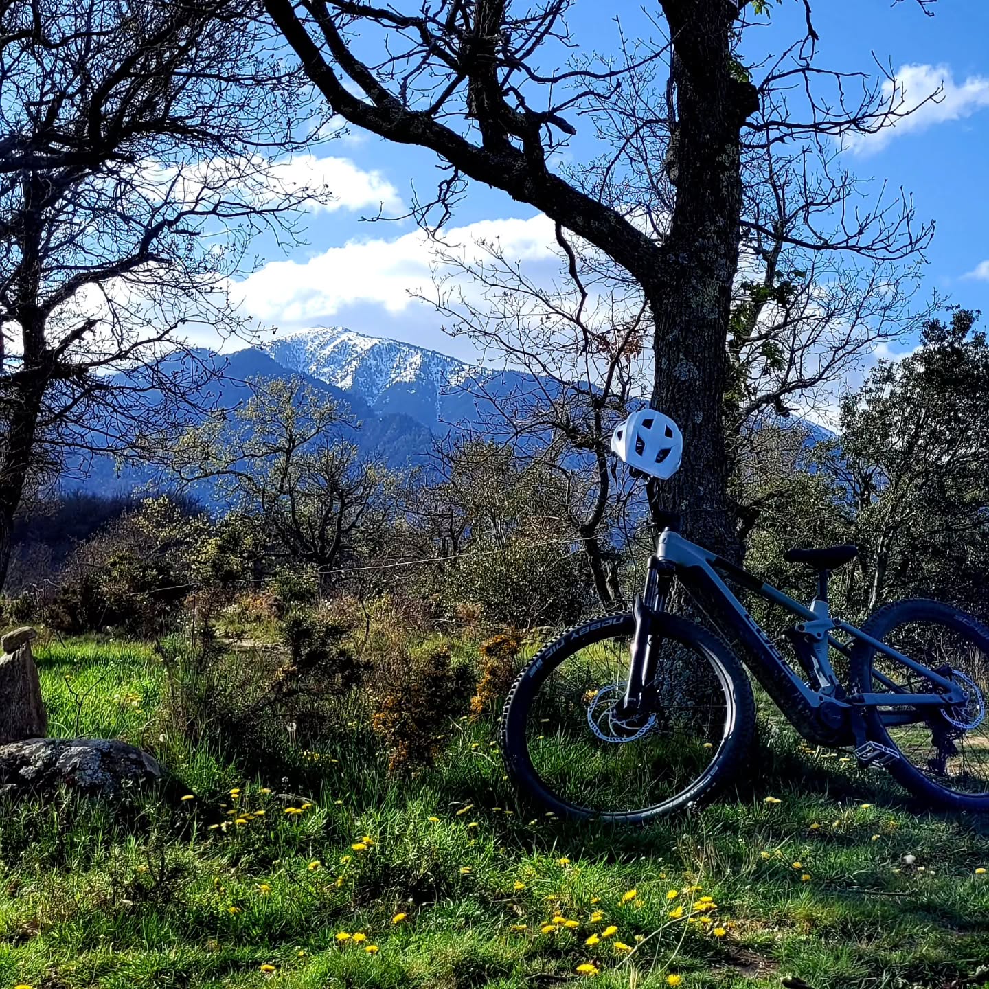 Matinée détente au pied du Canigou!