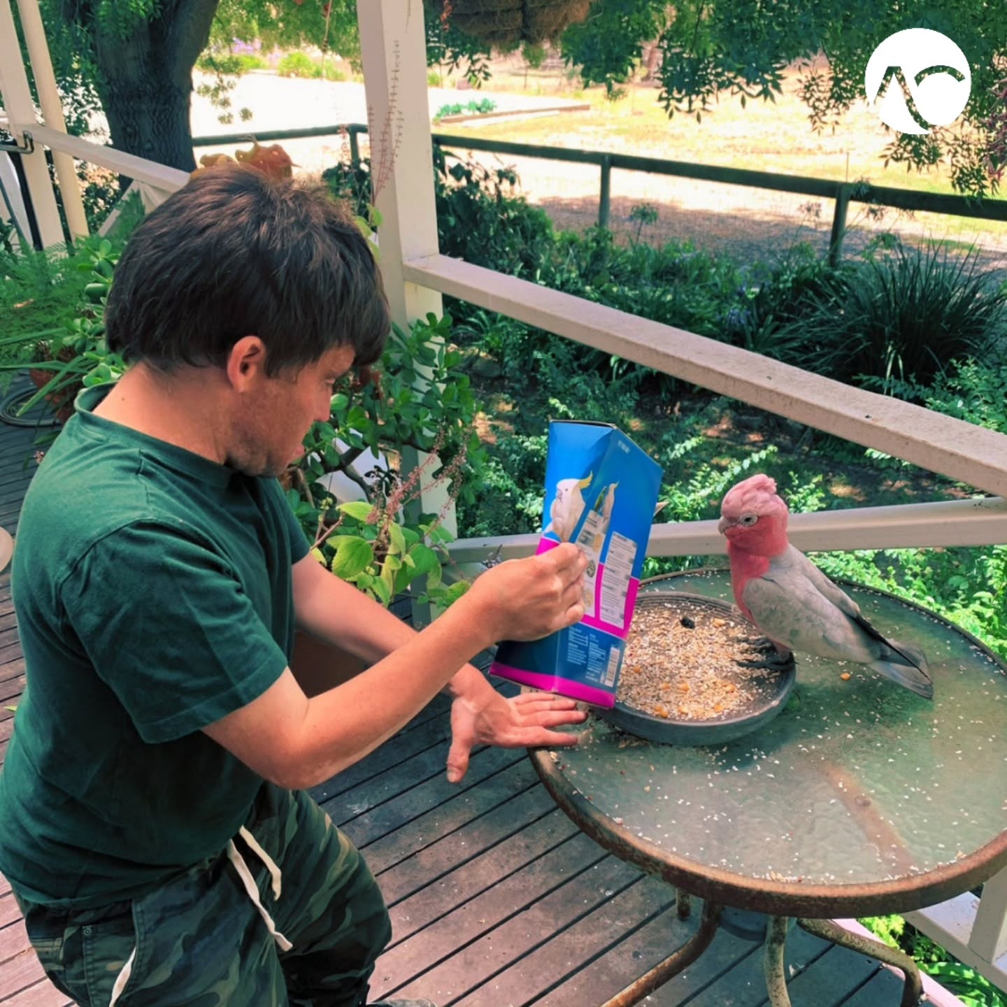 Sharing a little love with our feathered friends! 🦜
.
.
.
.
.
.
.
#registeredprovider #NDIS #UnleashCreativity #BreakingBarriers #SupportingTalent #abilitynotdisability #disabilityservicesadelaide #communitysupport #autismawareness #disabilitysupport #ndisadelaide #smallbusinessaustralia #dayoptions #farmlife #gardeningaustralia #ndissupport #communityaccess #smallbusinessadelaide #smallbusinessowner #supportworker #disabilityinclusion #attunedcare #adelaidedisabilitycare #disabilityservicesadelaide #myadventures #ndis #ndisprovider #gosouthgolocal