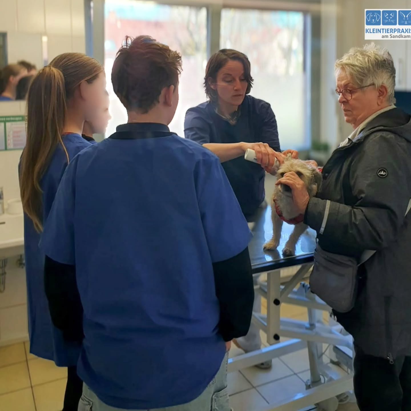 Letzte Woche hatten wir wieder mal ein paar junge Tagespraktikantinnen im Rahmen des "Girls Day"s zu Besuch. Alle unsere Patientenbesitzer waren damit einverstanden, dass an dem Tag ausnahmsweise viele Blaukittel im Raum waren - und die Patienten hat es auch nicht gestört.
Ich hoffe, dass wir die jungen Leute für unseren Beruf etwas begeistern konnten - Nachwuchs wird ja händeringend gebraucht💪🏻👩🏼⚕️👨🏼⚕️
#tierarzt #Ausbildung #nachwuchsförderung