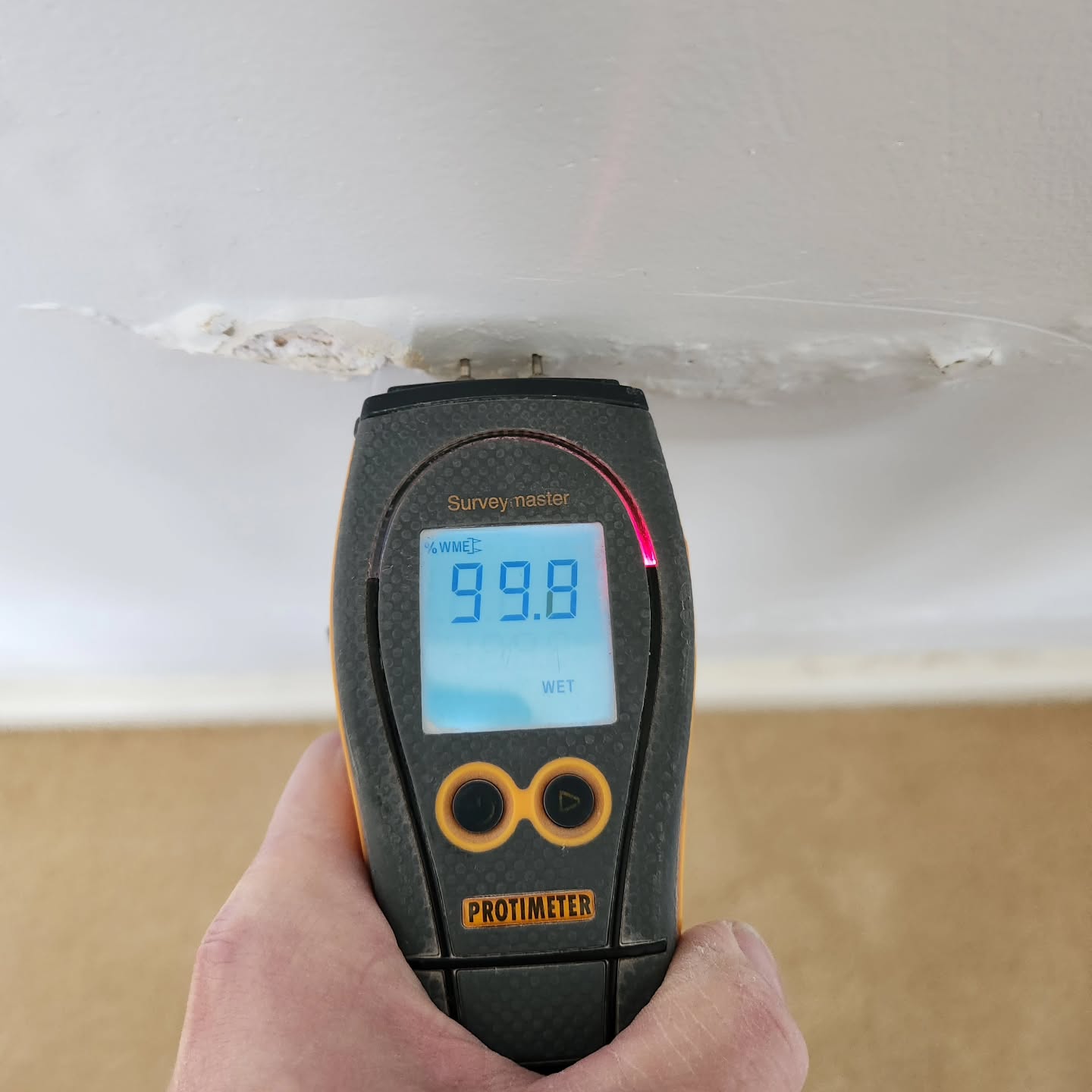 🚿🏡 Is your shower or balcony leaking? Don’t ignore these common telltale signs!
🔹 Swollen skirting boards
🔹 Bubbling paintwork
🔹 Rusty door frames
🔹 Stains on the ceiling below
These signs could indicate a hidden leak causing significant damage. Don’t wait for the problem to worsen—contact Shower Regrouting Perth today! Our premium grout replacement services will fix your leaking shower and balcony, ensuring a long-lasting result and preventing further issues.
🔧💧 Get your property back to its best with our professional and reliable service.
#ShowerRegroutingPerth #LeakingShower #LeakingBalcony #WaterDamage #GroutReplacement #HomeMaintenance #PerthServices #ShowerFix #BalconyRepairs