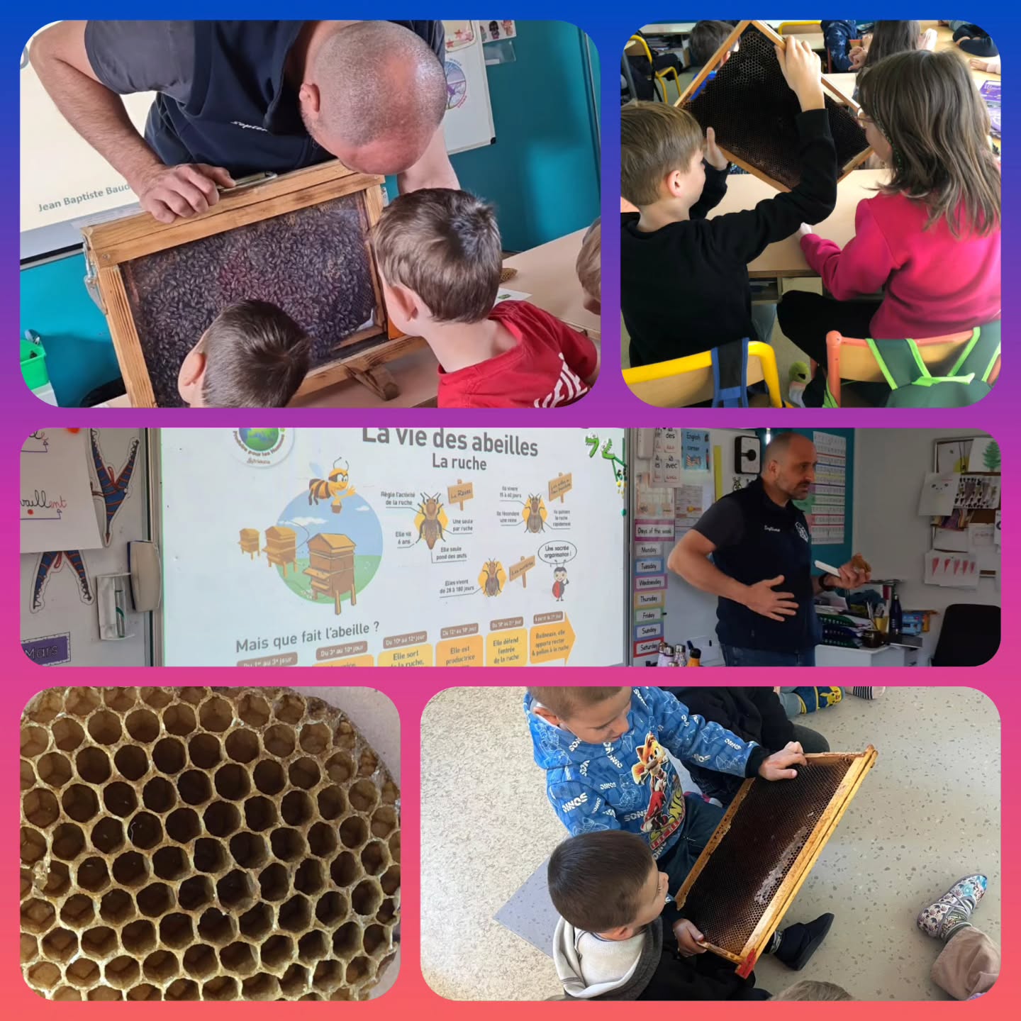 Ce lundi matin, @les_ruchers_de_jb est revenu à l'école pour nous faire découvrir la vie des abeilles et l'organisation d'une ruche : le rôle de la reine, des ouvrières...
Merci Jean-Baptiste pour cette nouvelle intervention!
#enseignementcatholique #ecolecatholique