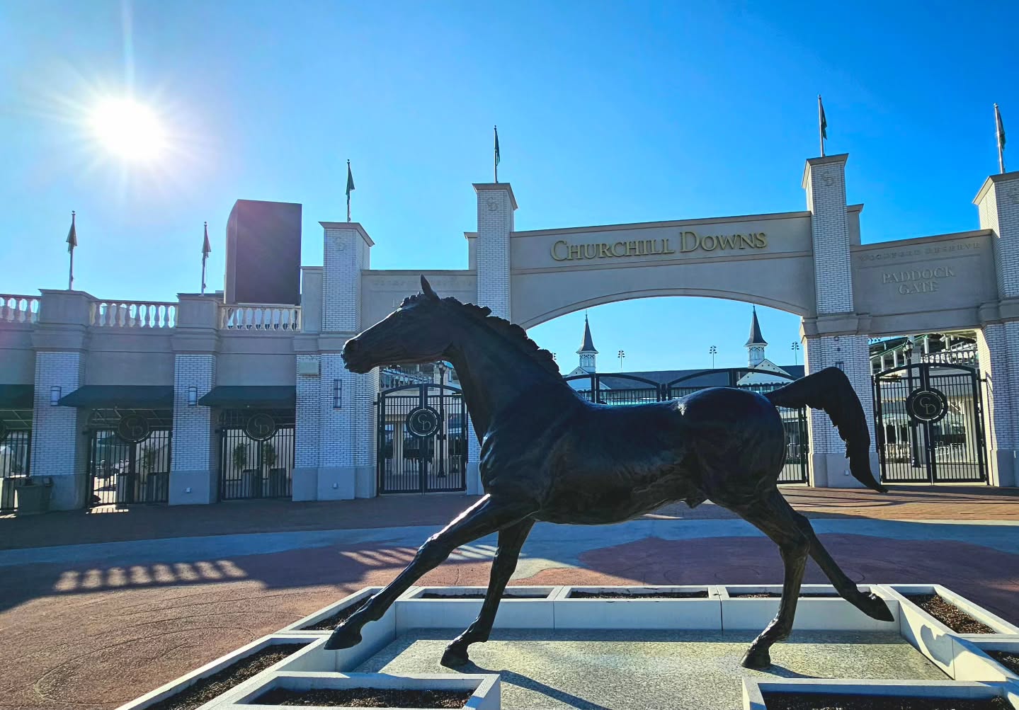 In 3 weeks this will look alot different. 🌹