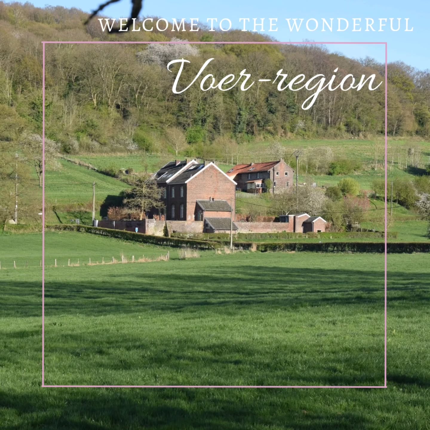 🌸 V O O R J A A R 🌸 @ Mille Fleurs Apartments
Spring is in the air! We all feel like going out: walking shoes on, bike out of the shed. Perfect time to get to know the Voer-region in all its facets.
Let me take you on a walk around our location, especially for you I photographed a view of the many hidden pearls in our region. Hope you'll enjoy the pics 🤗
Even better is to come over and see all of the beauty yourself, we still have our early spring discount:
ENJOY A 10% DISCOUNT ON OUR UNIQUE APARTMENTS IN THE BELGIAN VOERS REGION IN MARCH AND APRIL
👉 For more information, visit www.millefleurs.be
De lente is aangebroken! We krijgen allemaal weer zin om er op uit te trekken, wandelschoenen aan, de fiets uit de schuur.
Perfecte tijd om de Voerstreek in al zijn facetten te verkennen.
Ik neem je mee op een wandeling door onze locatie, speciaal voor jou heb ik een paar foto's genomen van de vele verborgen parels in onze regio. Ik hoop dat je ervan geniet! 🤗
Nog beter is om zelf al het moois te komen bekijken, we hebben nog steeds onze vroege voorjaarsvoordeel:
GENIET IN MAART EN APRIL VAN 10% KORTING OP ONZE UNIEKE APPARTEMENTEN IN DE BELGISCHE VOERSTREEK
👉 Kijk voor meer info op www.millefleurs.be
#springpromo #springishere #whataview #beautifullandscape #naturelover #natuur #voeren #limburg #voerstreek #wandelen #hiking #millefleurs #appartementhuren #vakantiehuis #vacation #rent #apartment #rentapartment #vlaanderenvakantieland #ilovelimburg #vakantieineigenland #sintpietersvoeren #altijdlimburg #belgium #visitlimburg #wanderlust #bronnenwandeling #wandelparadijs