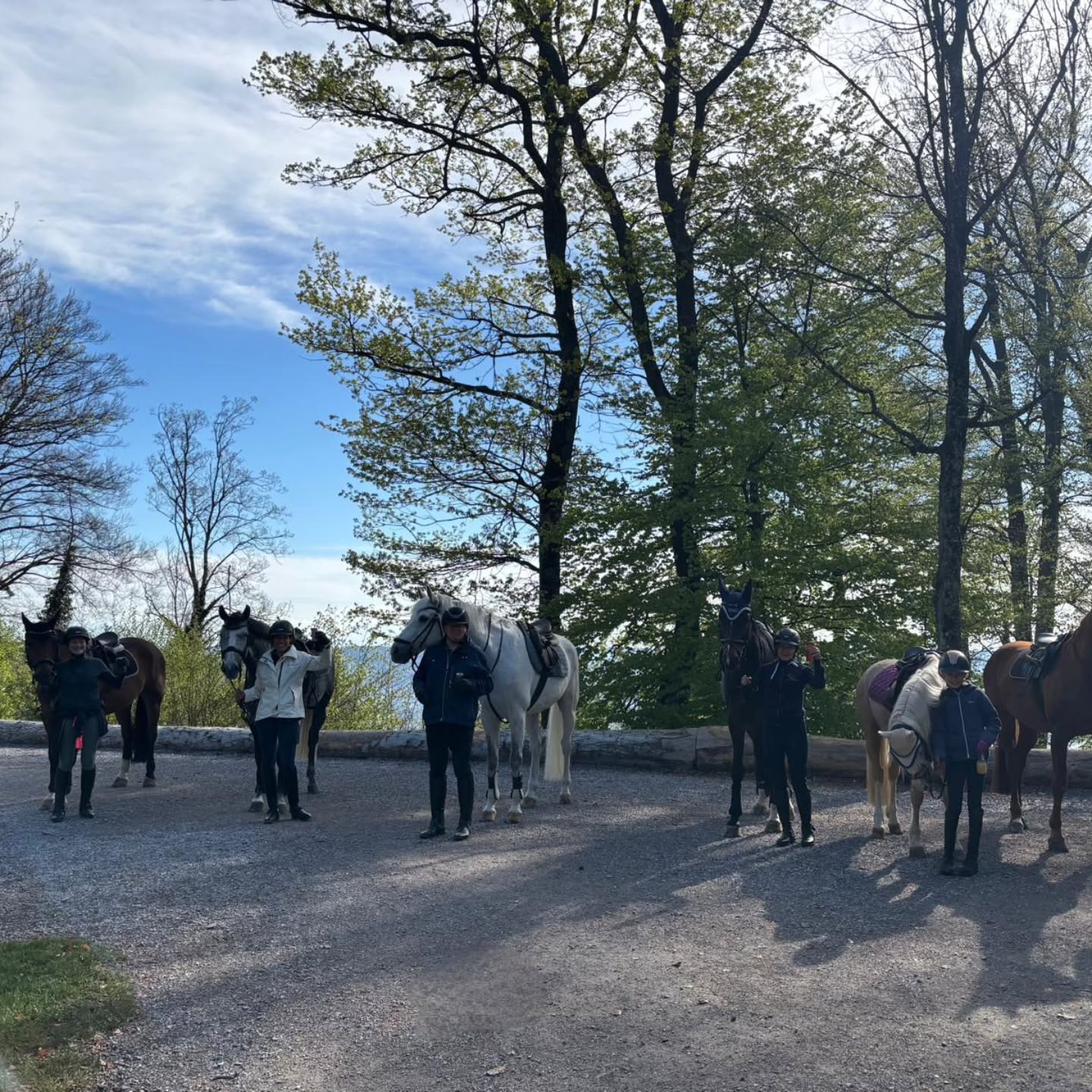 Wetter super, Pferde super, Reiter:innen super, Brunch super - Ostern war SUPER!
Danke allen Beteiligten, dass unser RCK-Osterevent ein voller Erfolg war.
#kolbenhof #rck #osterausritt #brunch #frühlingsgefühle #pferde