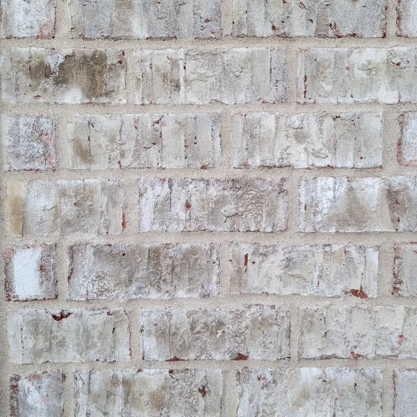 Same brick, different groute.
We thought a lot about our brick color but not a lot about the groute
❗️Even though it can completely change the appearance of the brick❗️
#1 👉 white mortar, regular sand
#2 👉 white mortar, white sand
#3 👉 regular mortar, regular sand
#3 is the standard and cheapest option, followed by #1 then #2.
There are a million options for mortar colors, but these are common combinations to give you an idea.
❗️Keep in Mind❗️
#2 will make the brick color pop and the whole facade appear lighter
#1 gives soft contrast
And #3 gives more defined lines and contrast
Just another decision that will arrise while building. If only there was a checklist to help you remember them all 💸
DM me if that's something you would be interested in.
#newbuildhomes #newconstructionhomes #newbuilds #newconstruction #newbuildinspo #newbuild #newbuildhouse #newbuildhome #newconstructionhome #newbuildjourney #indiananewconstructionhome