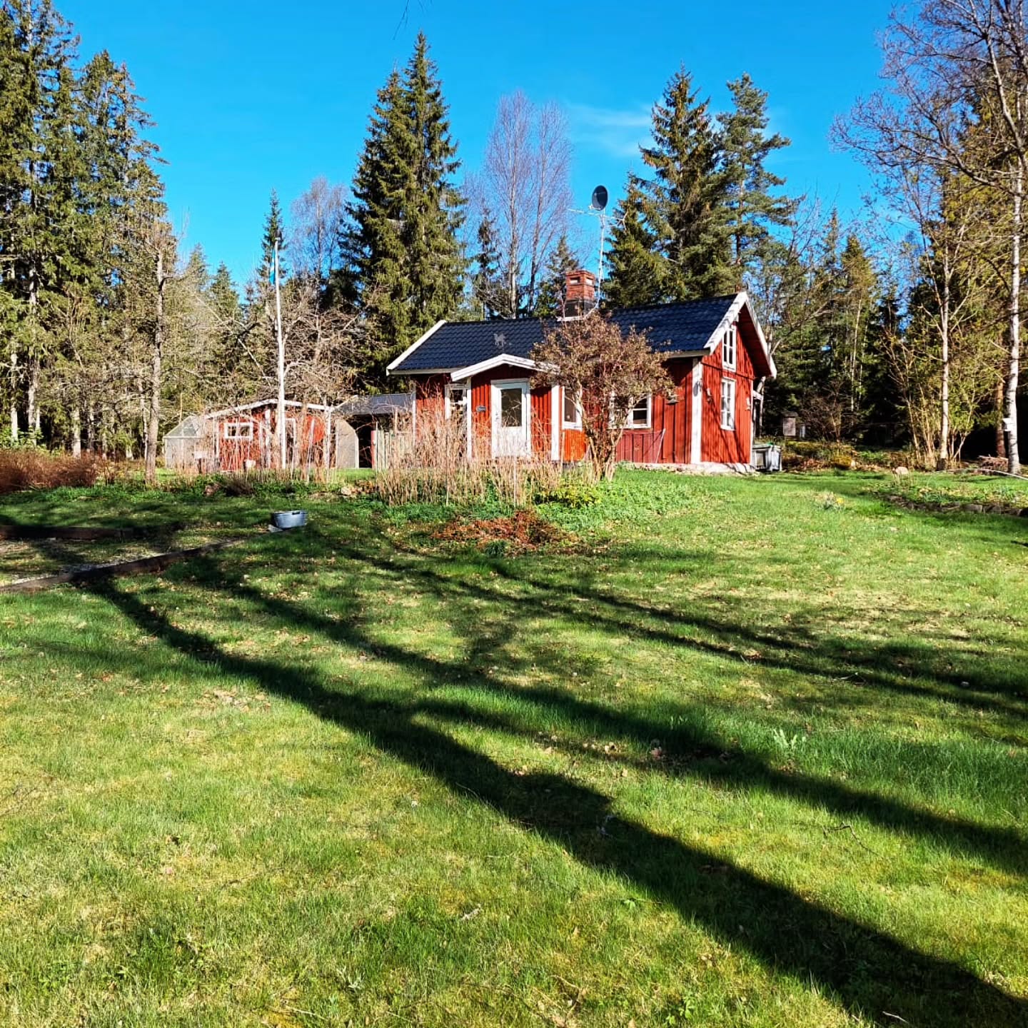 I've officially made the move to Sweden! 🇸🇪
And now planning my Ancient Technology Centre can start.🫎
#ancientskills #ancienttechnology #bushcraft #primitiveskills #sweden #wildernesskills