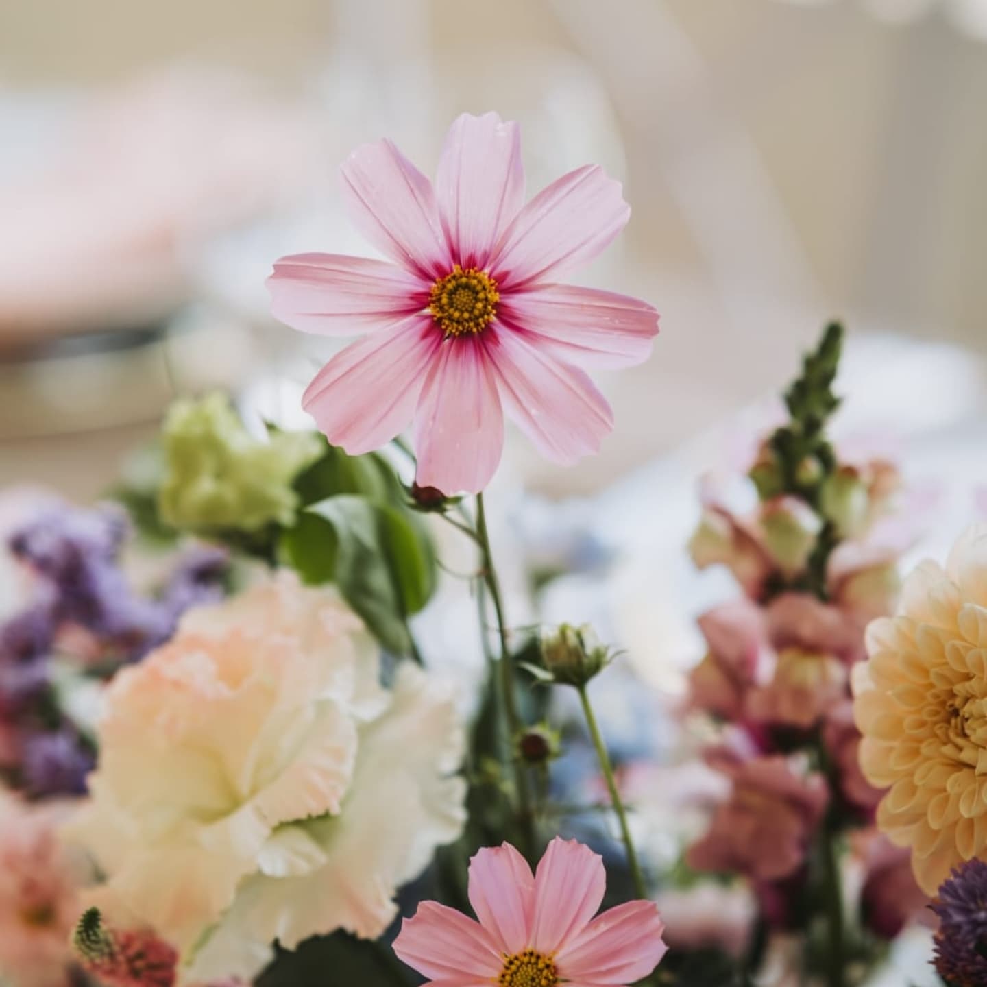 Soft candlelight, romantic table settings, and lush florals that feel like they were picked straight from a secret garden. We love creating floral stories that feel natural, wild, and beautifully untamed — perfect for couples who want their day to be authentically them.
From dreamy tablescapes to delicate bouquet details, every bloom is placed with love and intention.
DM us or click the link in bio to start planning your floral fairytale.
#WhimsicalWeddings #WildflowerFlorals #WeddingFloristKZN #KZNWeddings #northcoast #FloralDesign #RomanticWeddings #WeddingDecorSA #GardenWeddingVibes #ElegantWeddings