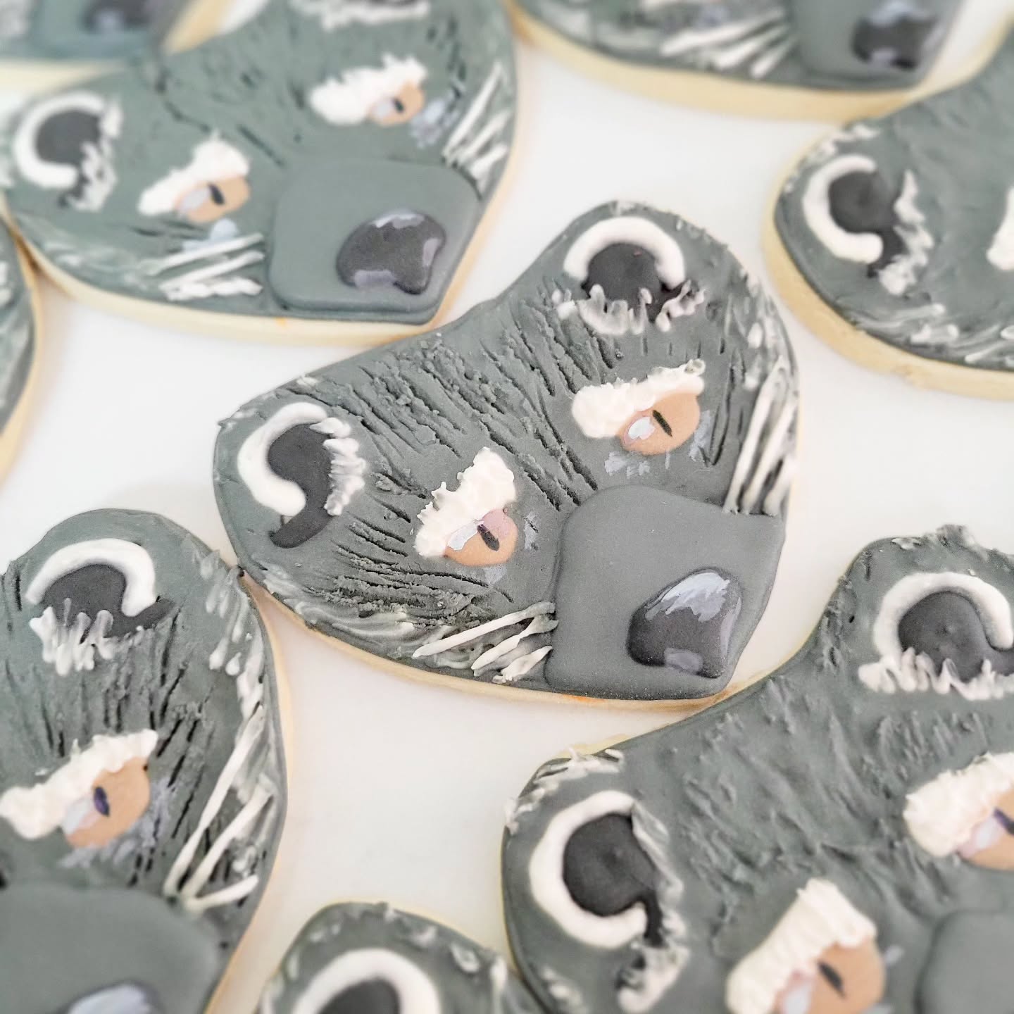 The binturong (Arctictis binturong) (/bɪnˈtjʊərɒŋ, ˈbɪntjʊrɒŋ/, bin-TURE-ong, BIN-ture-ong), also known as the bearcat, is a viverrid native to South and Southeast Asia and is the most delightfully creative idea thrown my way as a cookie favor for a 6th #birthday party. Clayton thank you so much for your fun cookie ideas and his family for letting me help make these special memories.
#cookies#cookielady#birthdaycookies #partyfavors #boybirthday #royalicingcookies#cookiedecorating#cookiedecorator#safetyharbor#tarponsprings#dunedin#palmharbor#tampa #clearwater #localbaker#cookiesofinstagram