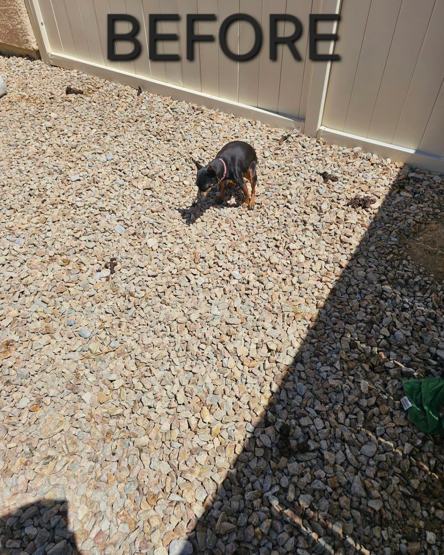 Don't just throw it away TURD IT AWAY!
• Eco-Friendly pooper scooper service
• Complete Dog Waste Clean Up &
Haul Away
• Scent Relief
• Biodegradable products
• Fecal matter testing (optional)
Call now for a #freeestimate #7024620050 TURDITAWAY.COM Email info@turditaway.com #pooperscooperservice #turditaway #fecalmatter #poop #dogpoop #catpoop #poopoo #caca #turd #haulaway #cleanyard #healthy #feces #environmentalhealth #cleanenvironment #supportsmallbusiness