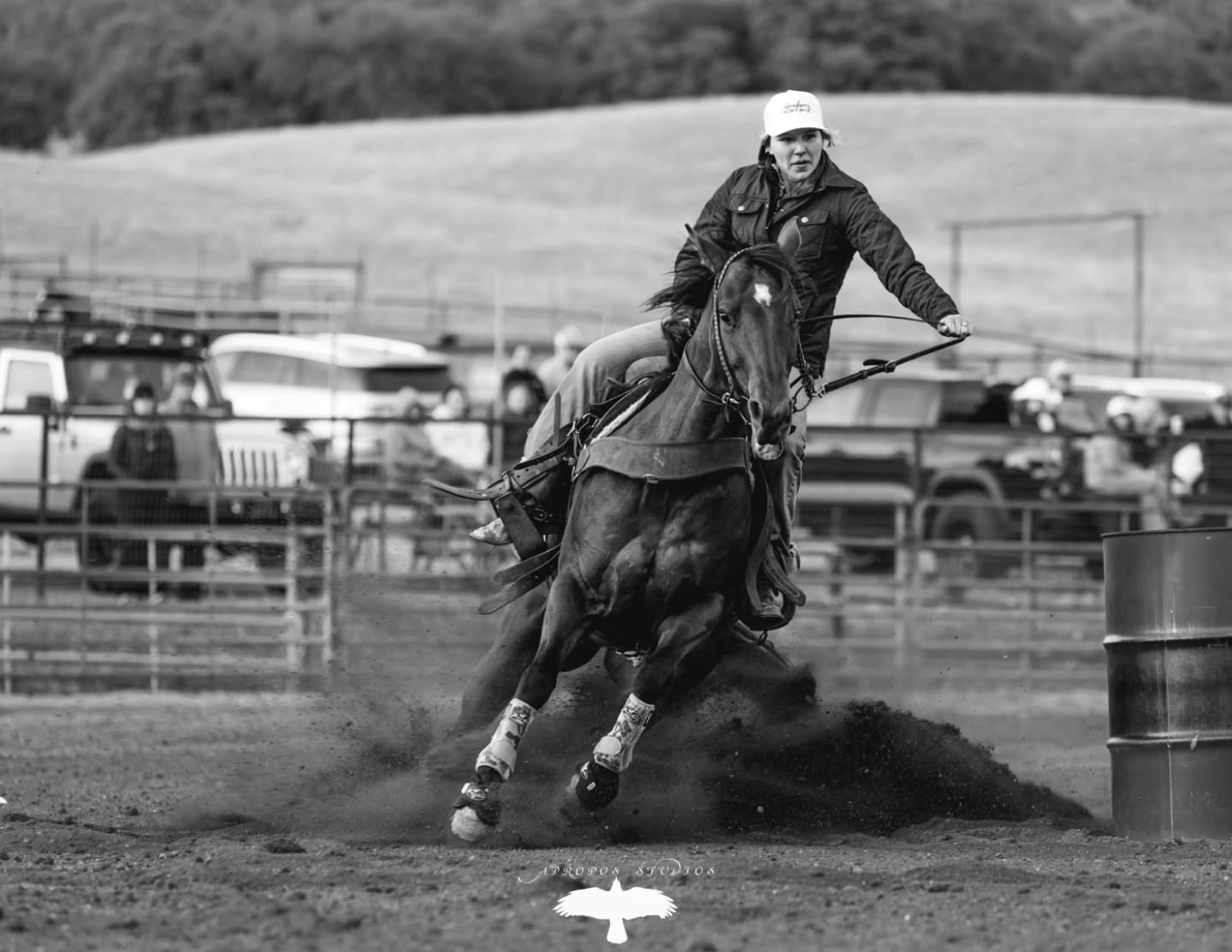 Sometimes I'm torn between color and black and white. Thanks @chasenmoneyarena for having me!
#equines #horsesofinstagram #barrelracing #photooftheday