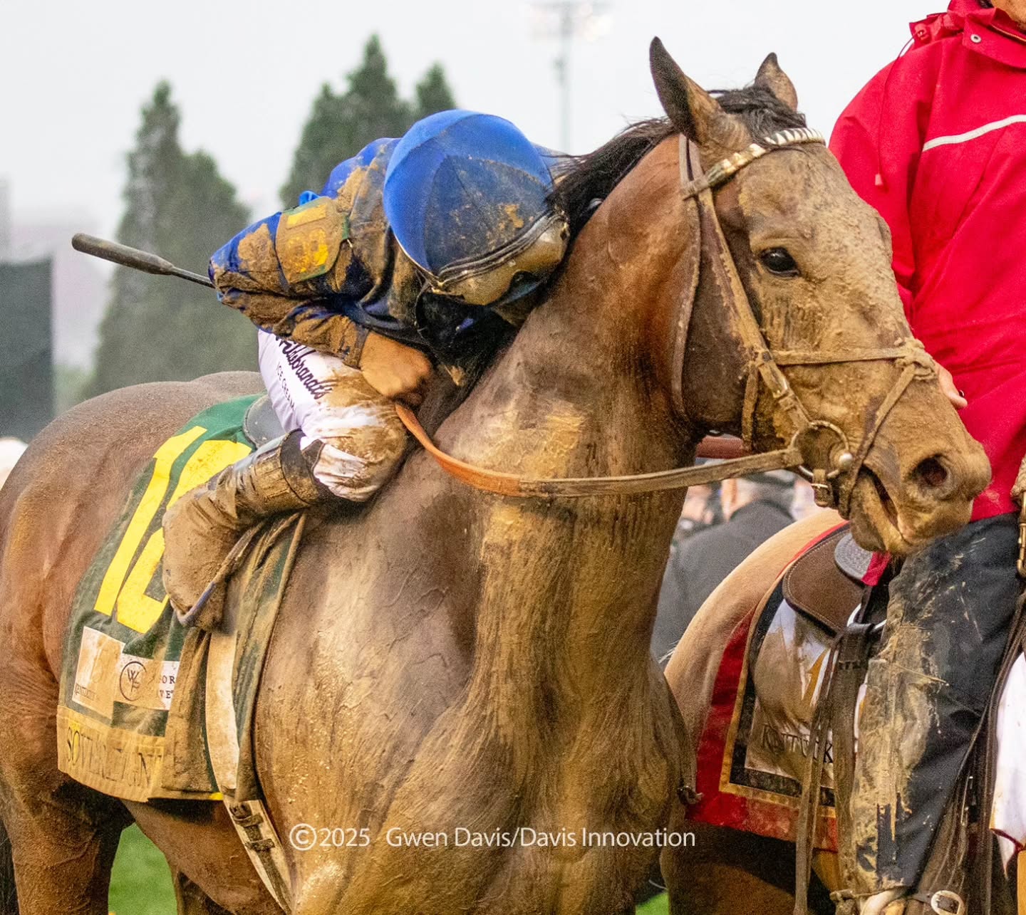 All the kisses in the world for new #kentuckyderby champion Sovereignty. Congratulations to all connections.