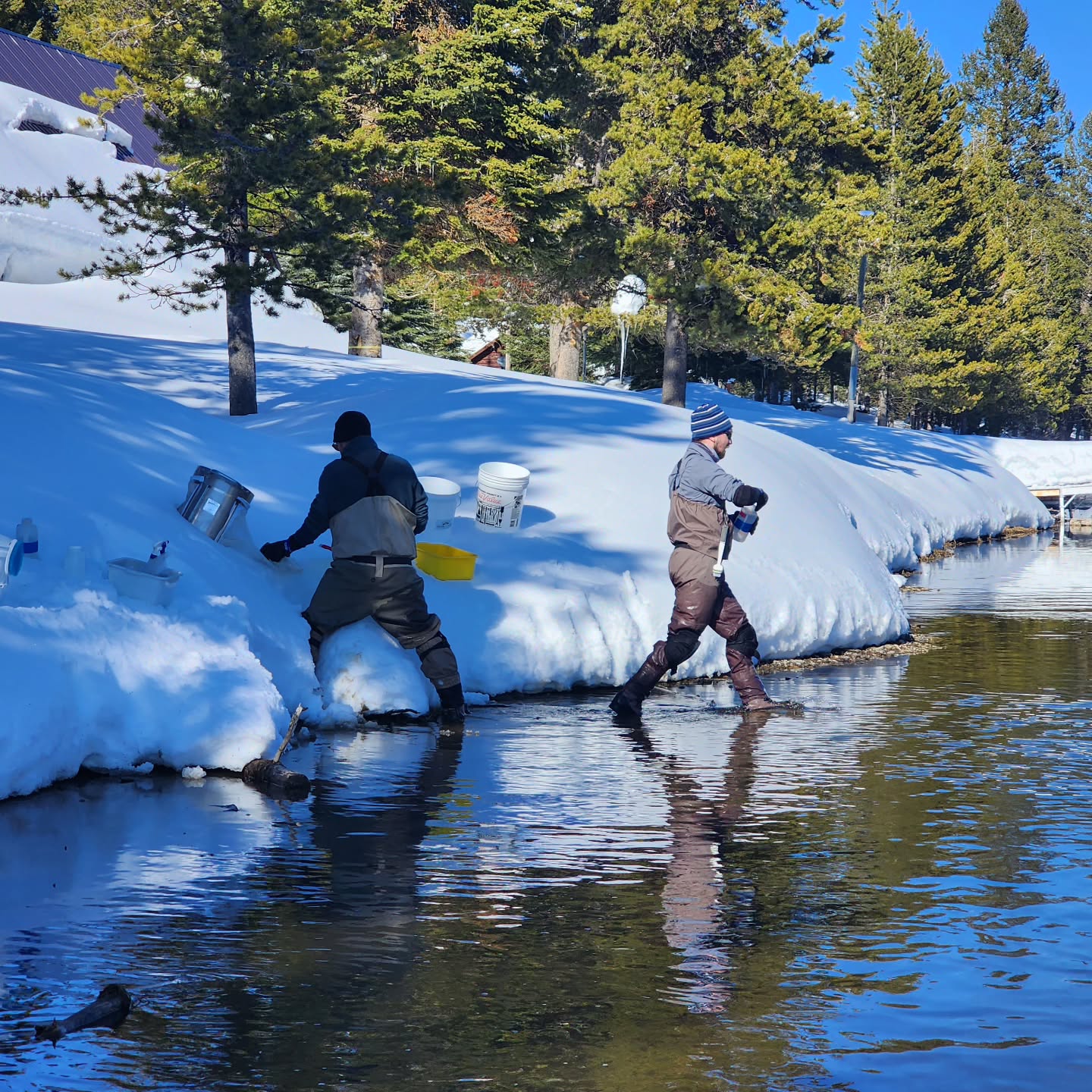 Our crew working up benthic samples from the upper Henry's Fork near Flat Rock.