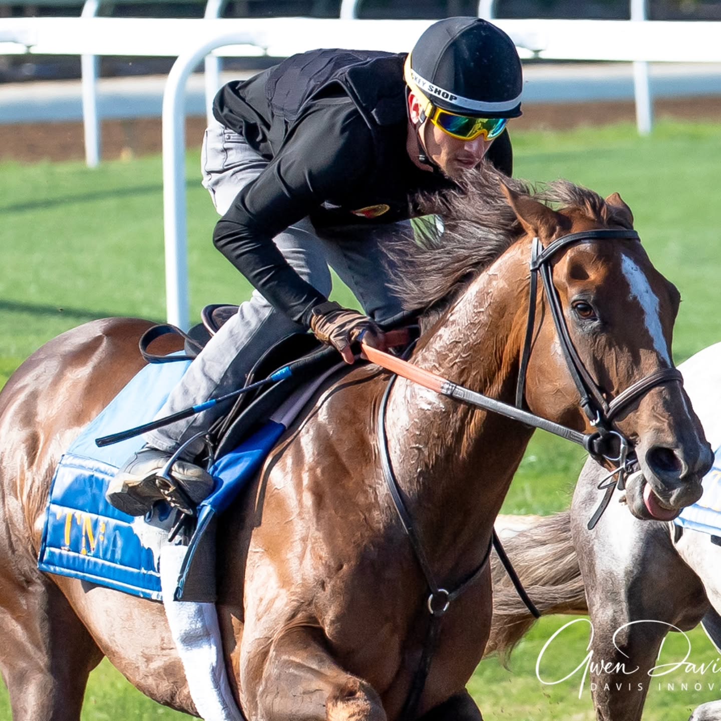 Back to normal and back to (post Derby) business!