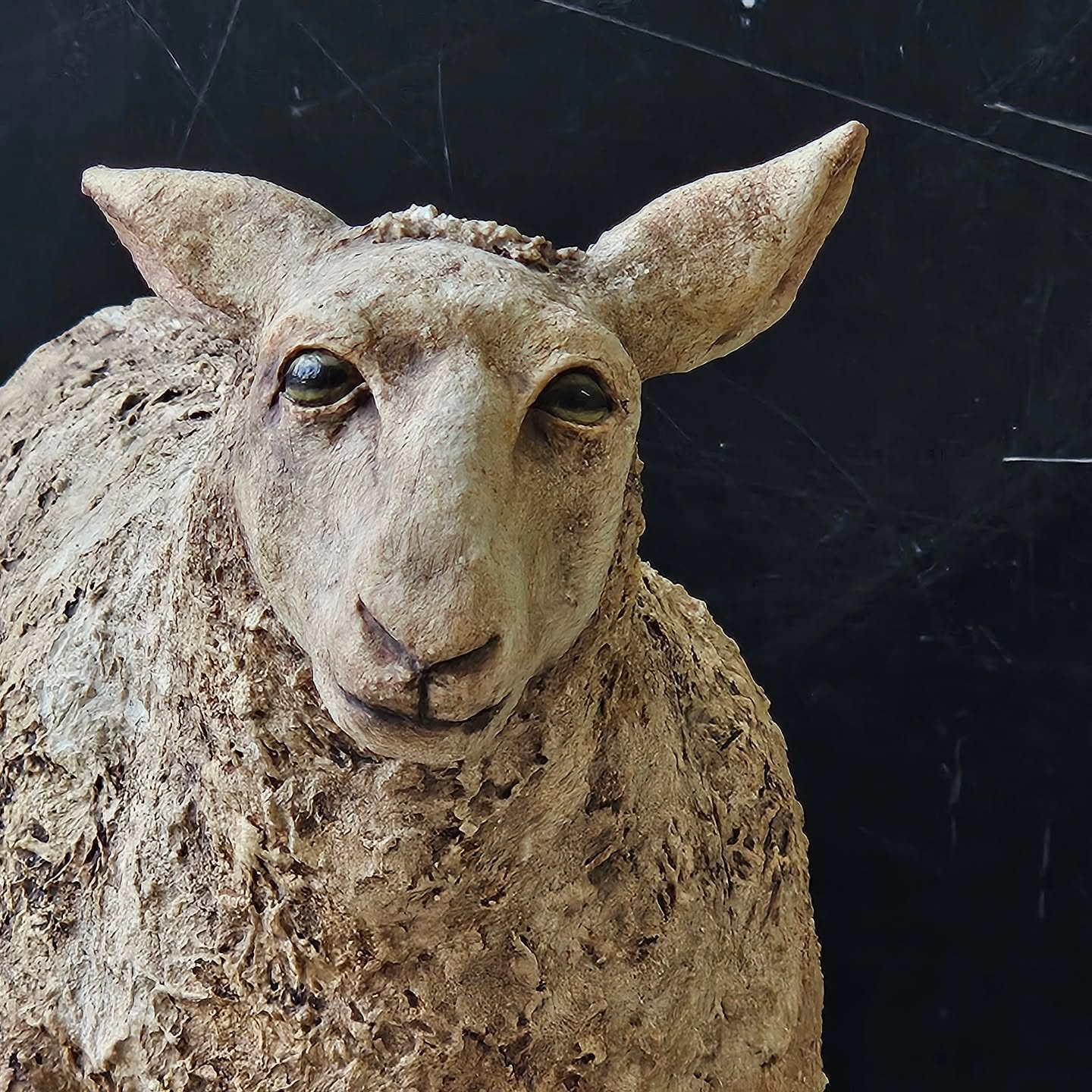 Helloooo from a rather lovely sheep, a Highland cow, a brace of hares - not rabbits - and a little frog!
Just a few of the marvellous animals made in our workshop with @allen_celia that have now been bisque fired
Our brilliantly talented member @suzannebreakwell has also added oxides and glaze to her sheep, really adding a sparkle to the eyes
Well done everyone 👏
#guestartists
#visitingartists
#potteryclasses
#potteryworkshops
#claycommunity
#claysculpture
#animalsculpture