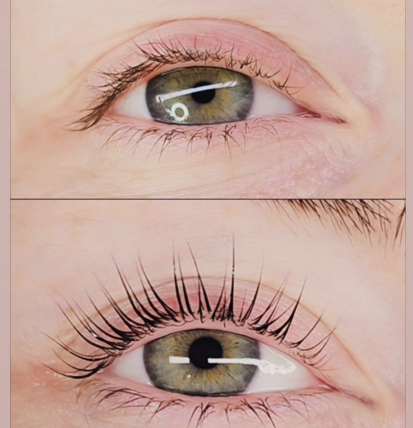 Ohhh what a Lash Lift can do 🖤 Teardrop Size M 💛