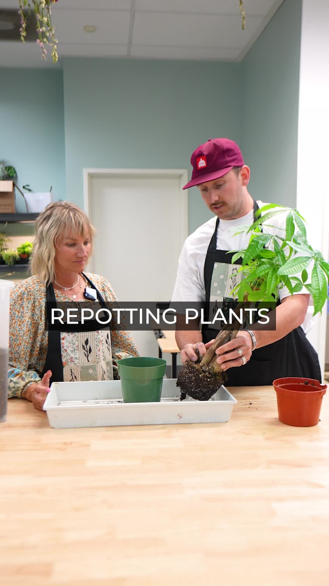 Let's pot some plants with Eron!